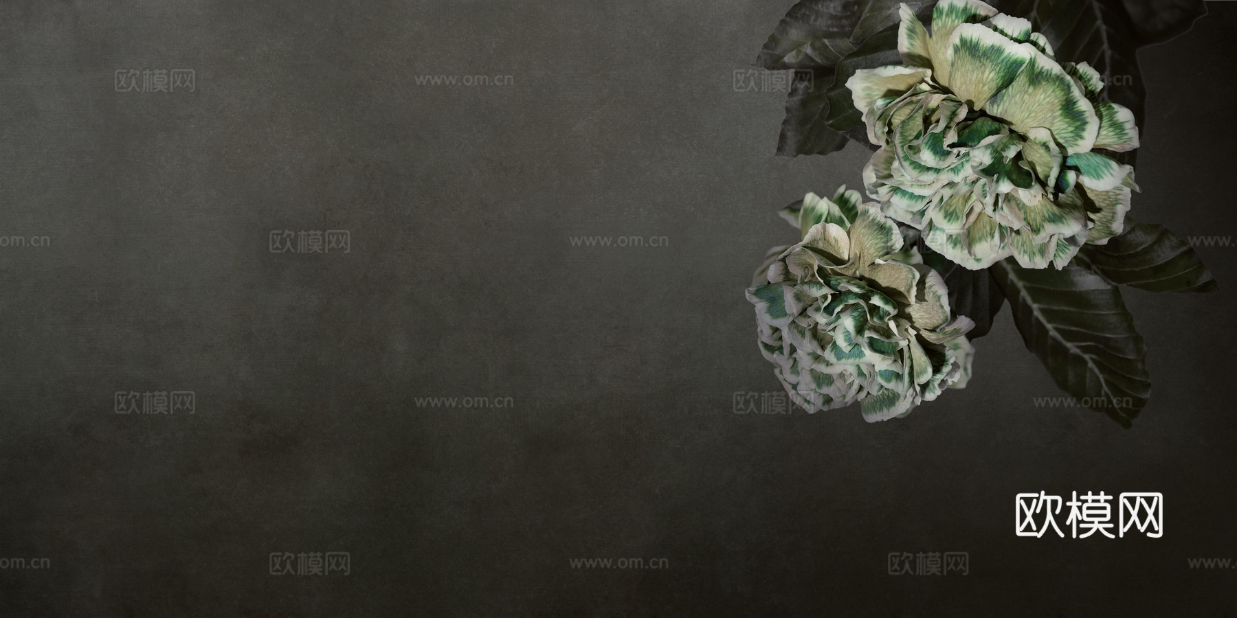 绿色花卉壁纸