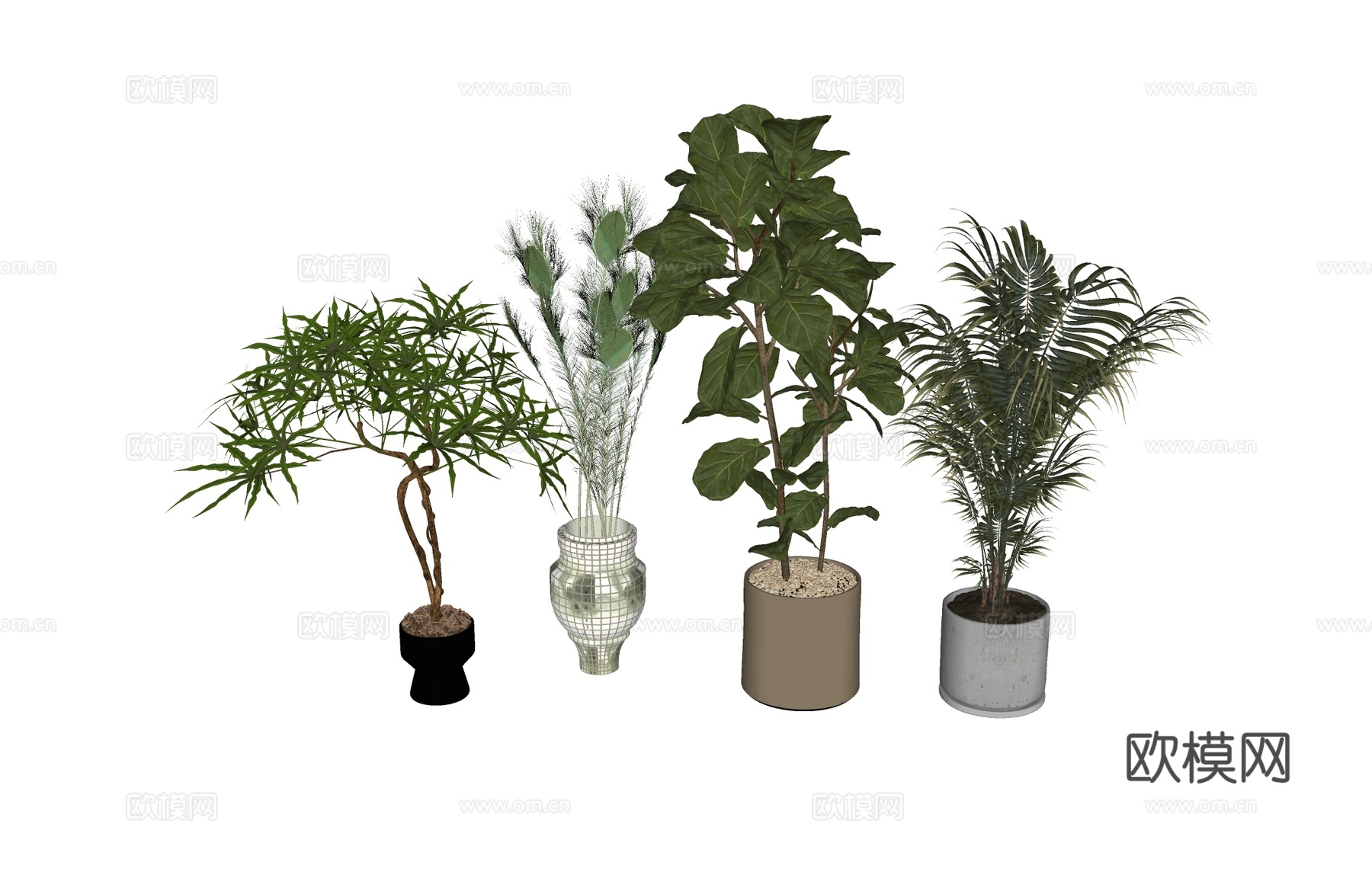 盆栽植物绿植   植物组合树木su模型