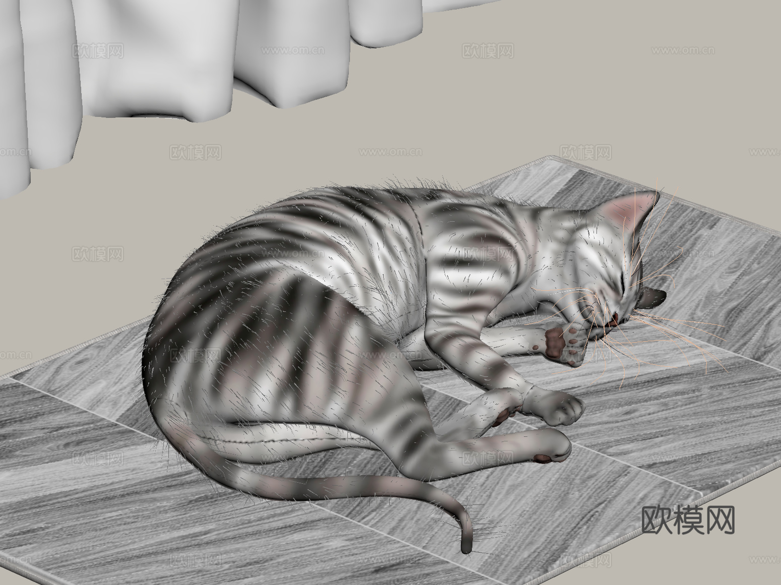 现代动物 宠物猫su模型