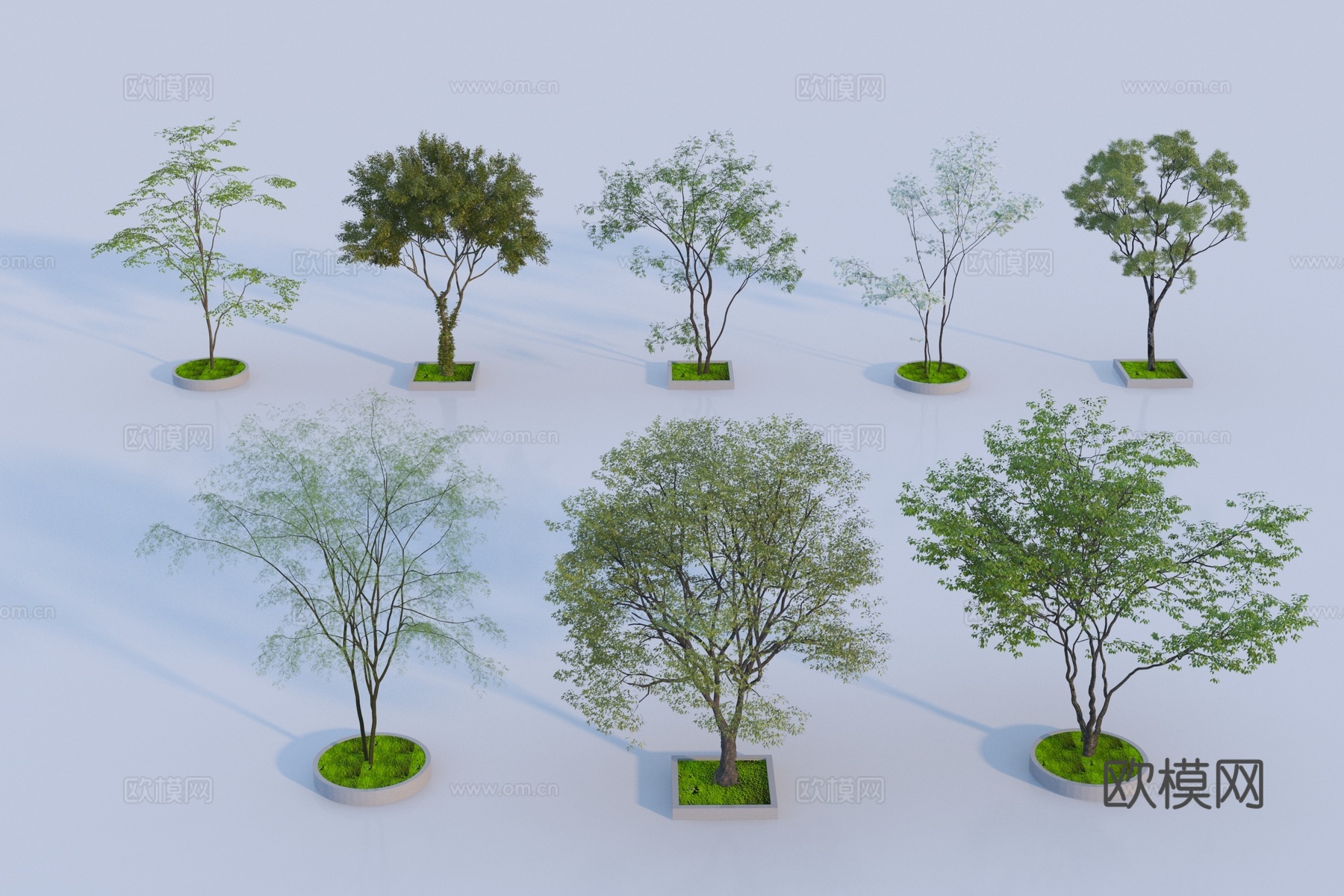 现代景观树3d模型