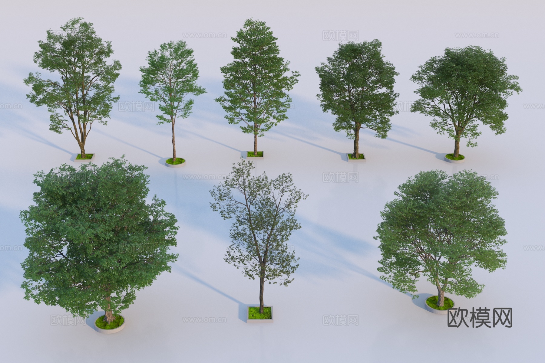 现代景观树3d模型