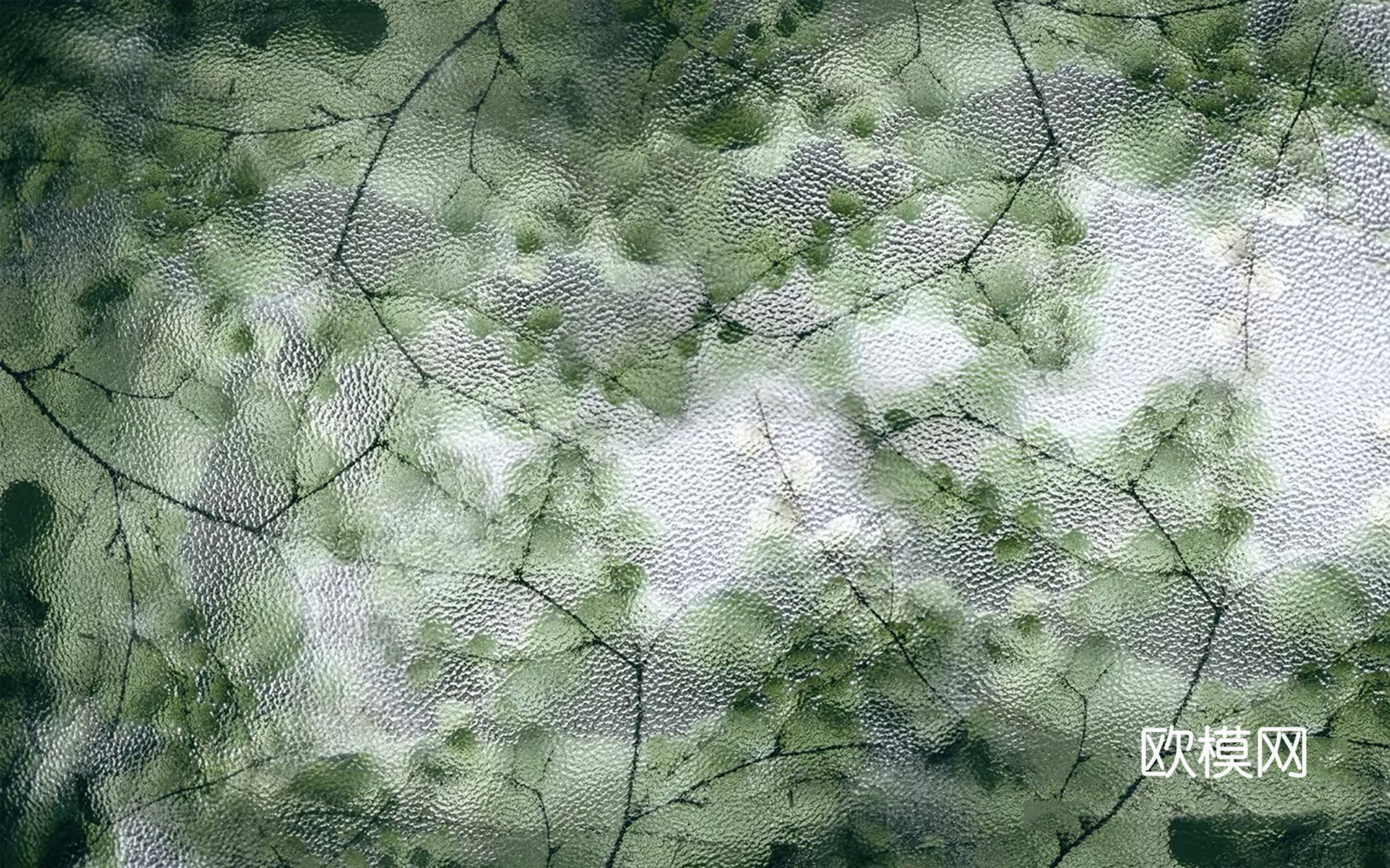 法式轻奢磨砂植物叶子壁画