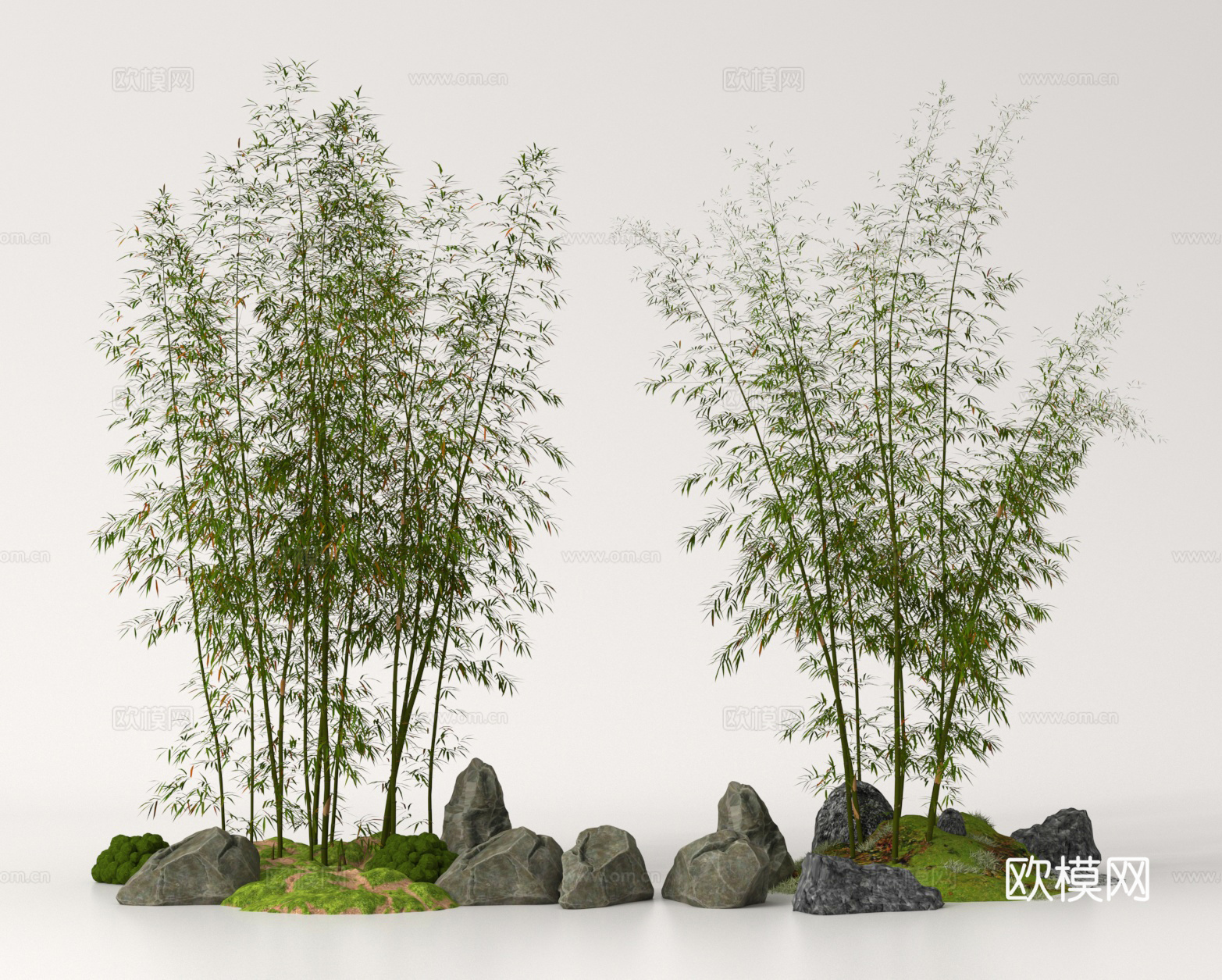 竹子 竹林 景观竹 园林竹su模型