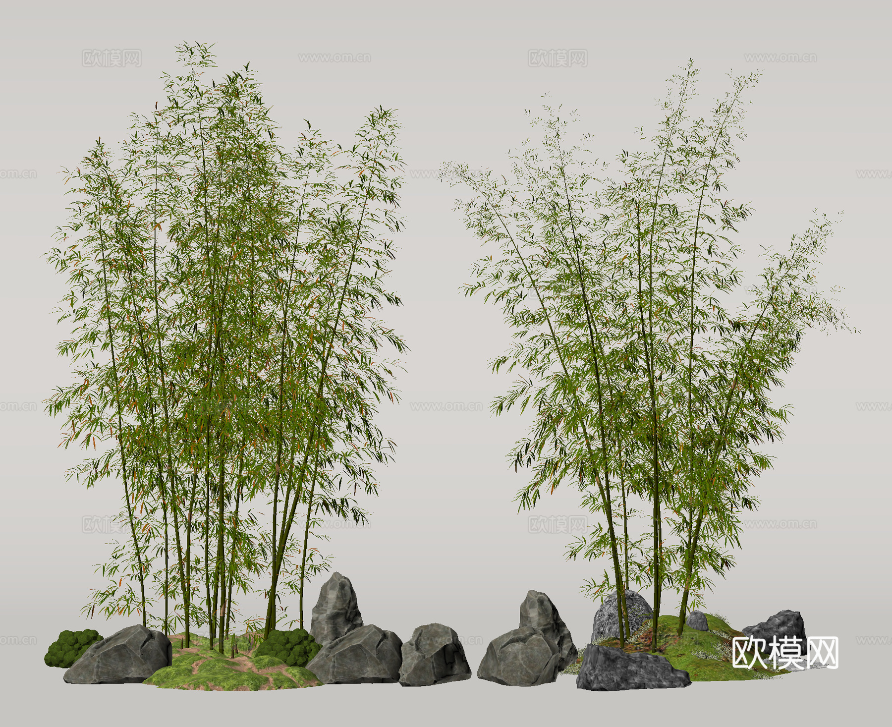 竹子 竹林 景观竹 园林竹su模型