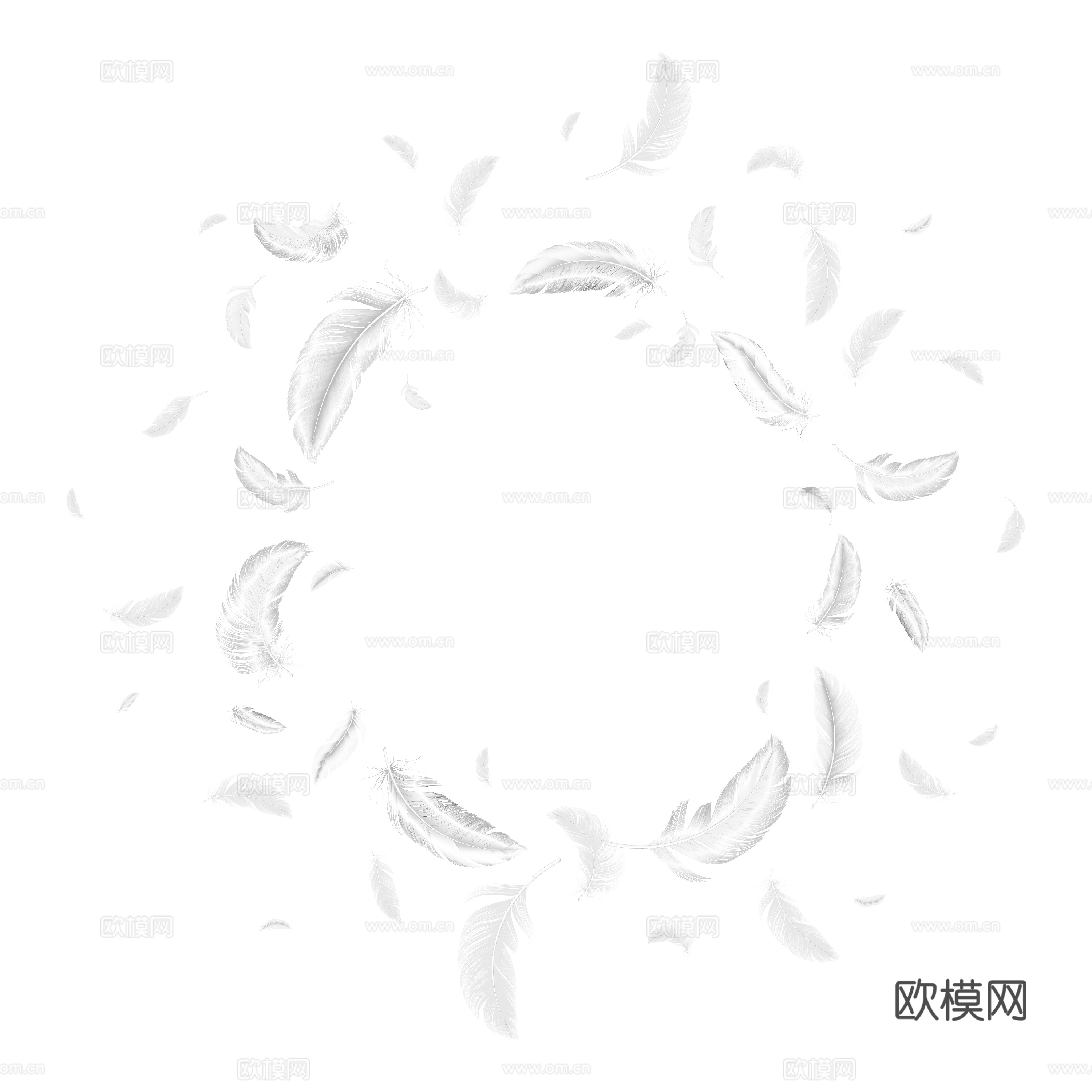 免抠白色羽毛