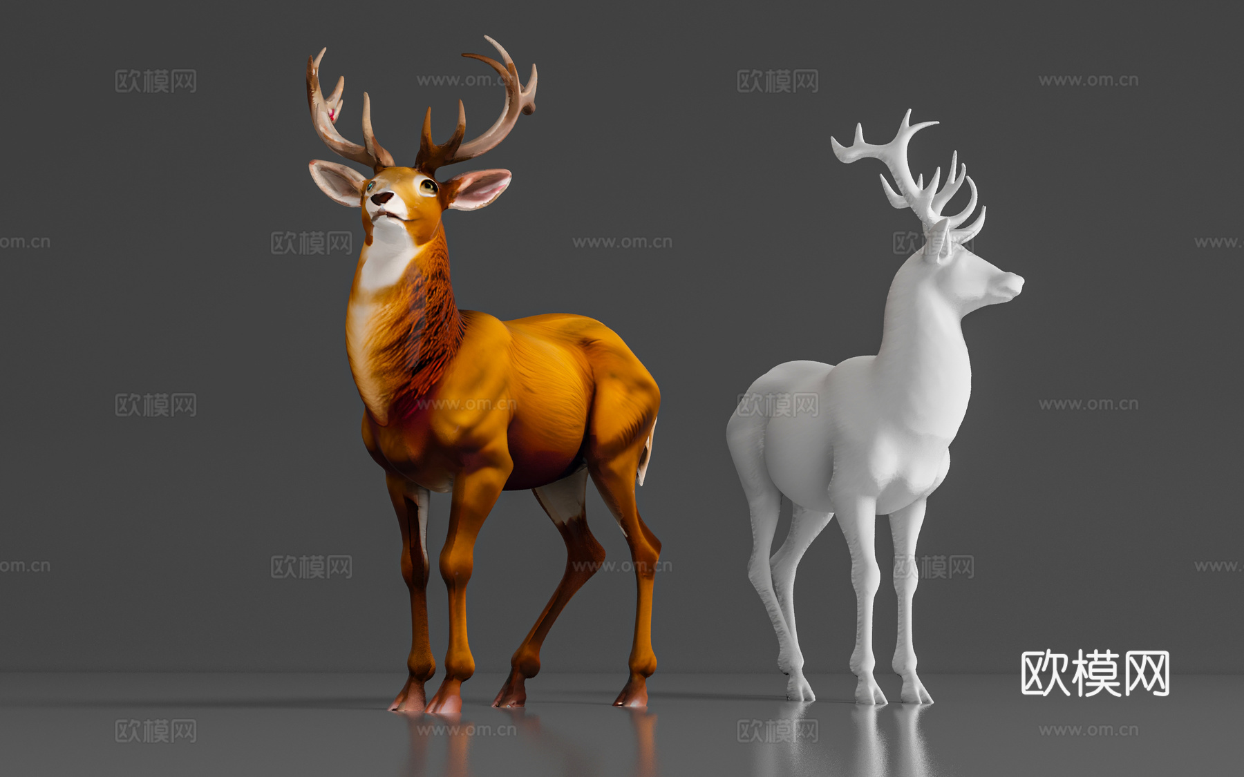 麋鹿 驯鹿 鹿 动物 标本 展示 动物园 摆件 卡通 游戏3d模型