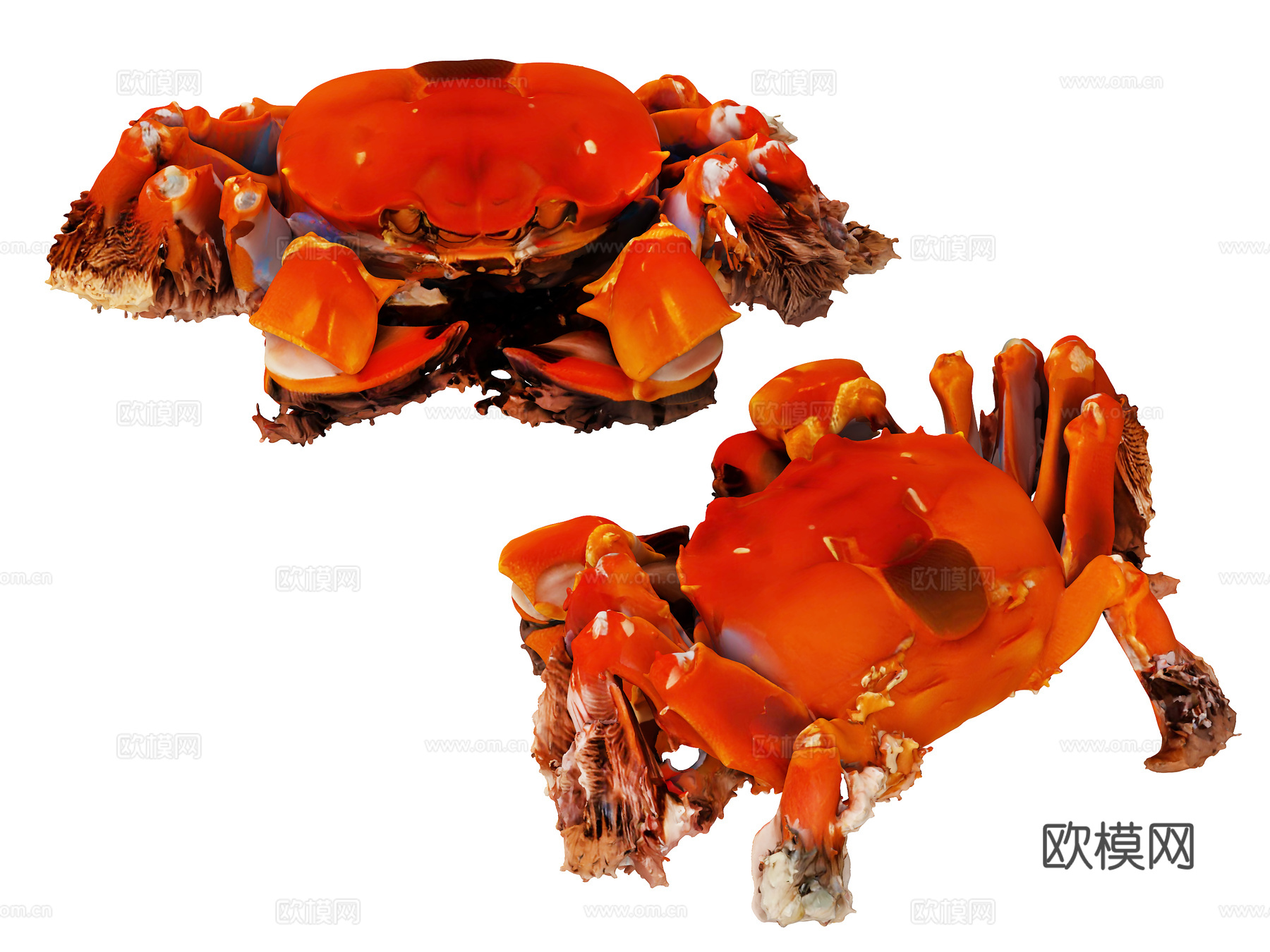 大闸蟹，螃蟹，河蟹，海蟹，海鲜，河鲜，青蟹，帝王蟹，梭子蟹，su模型