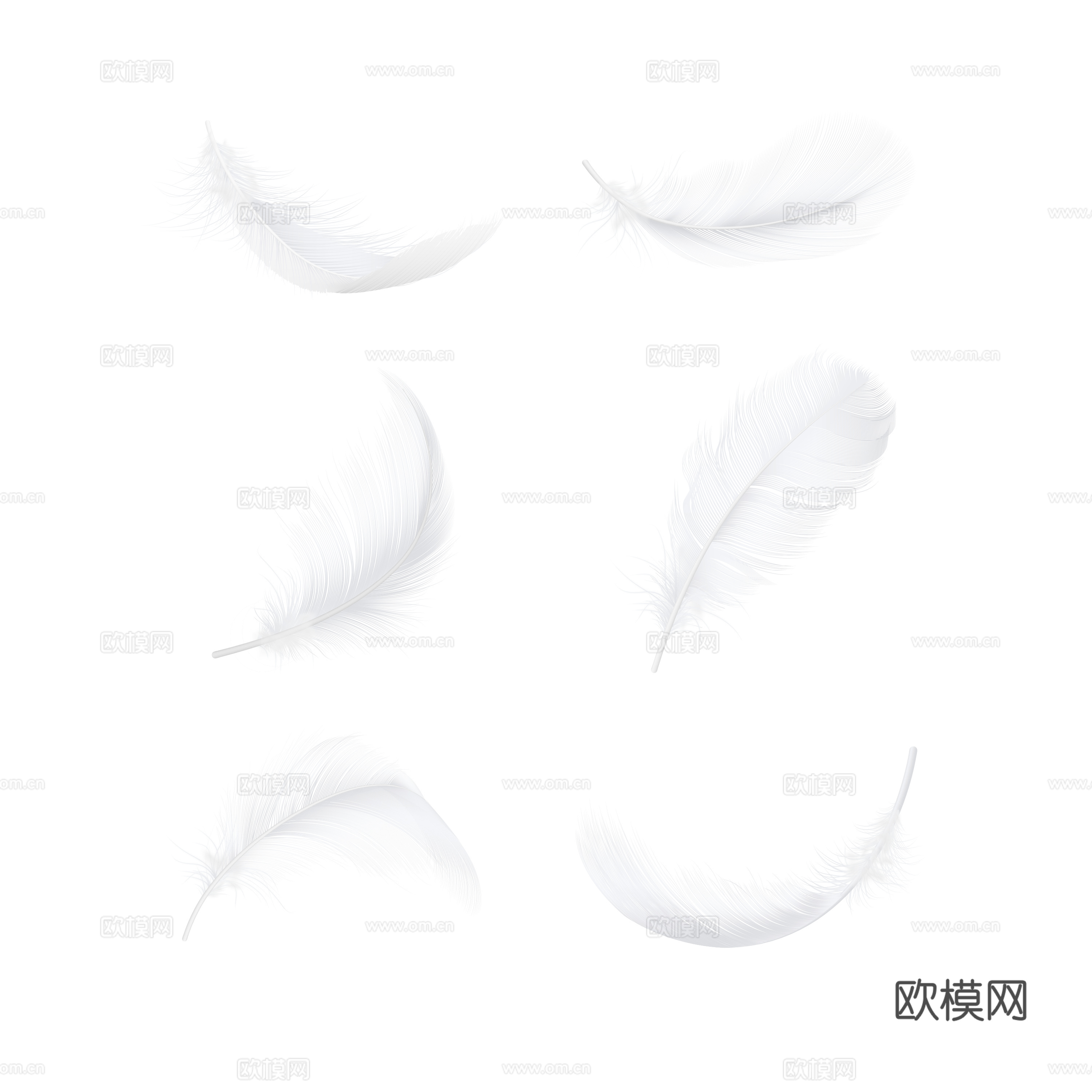 免抠白色羽毛
