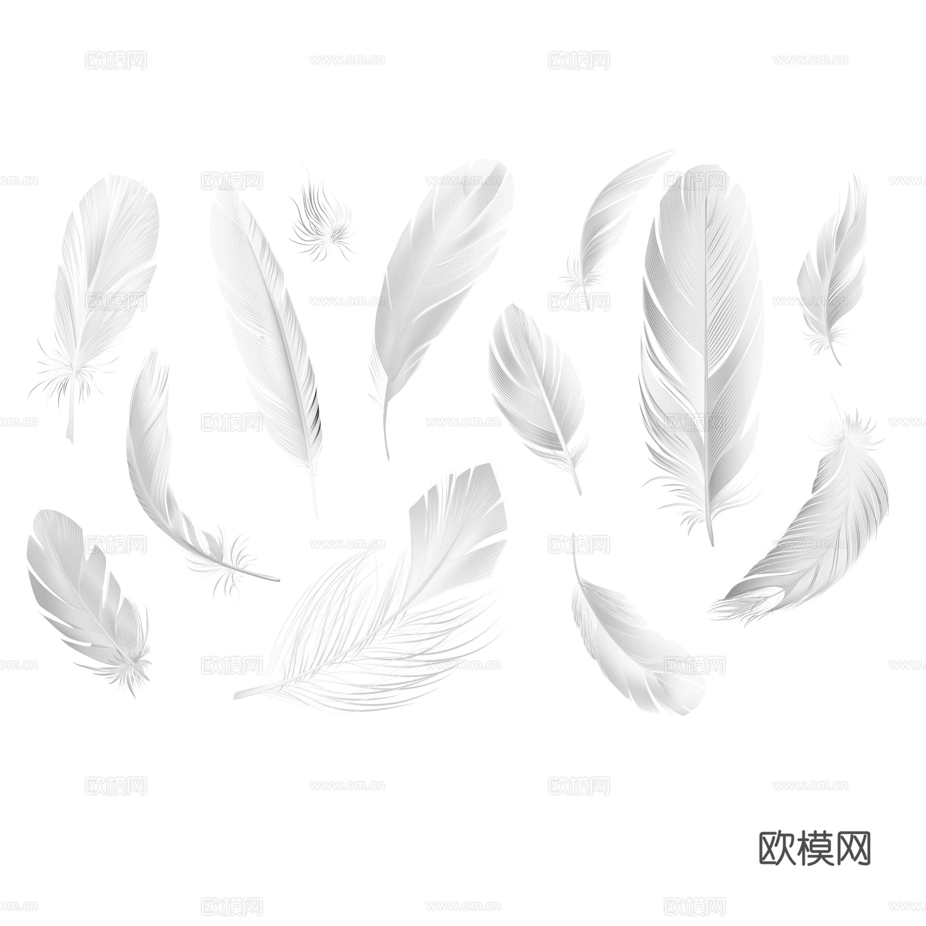 免抠白色羽毛