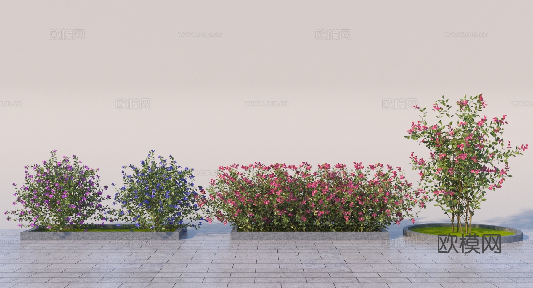 现代三角梅灌木3d模型
