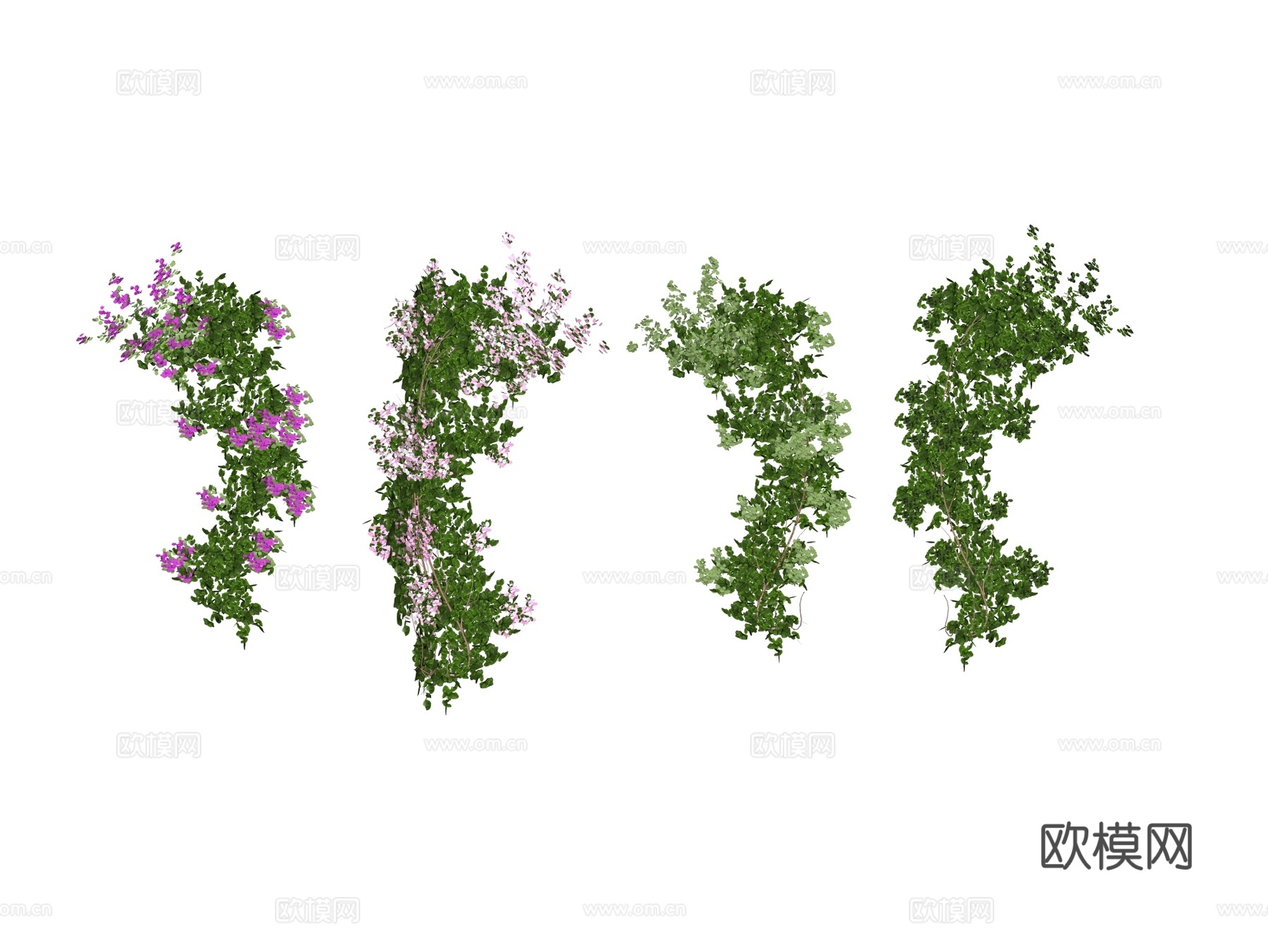 绿植墙 植生墙 藤曼 花藤su模型