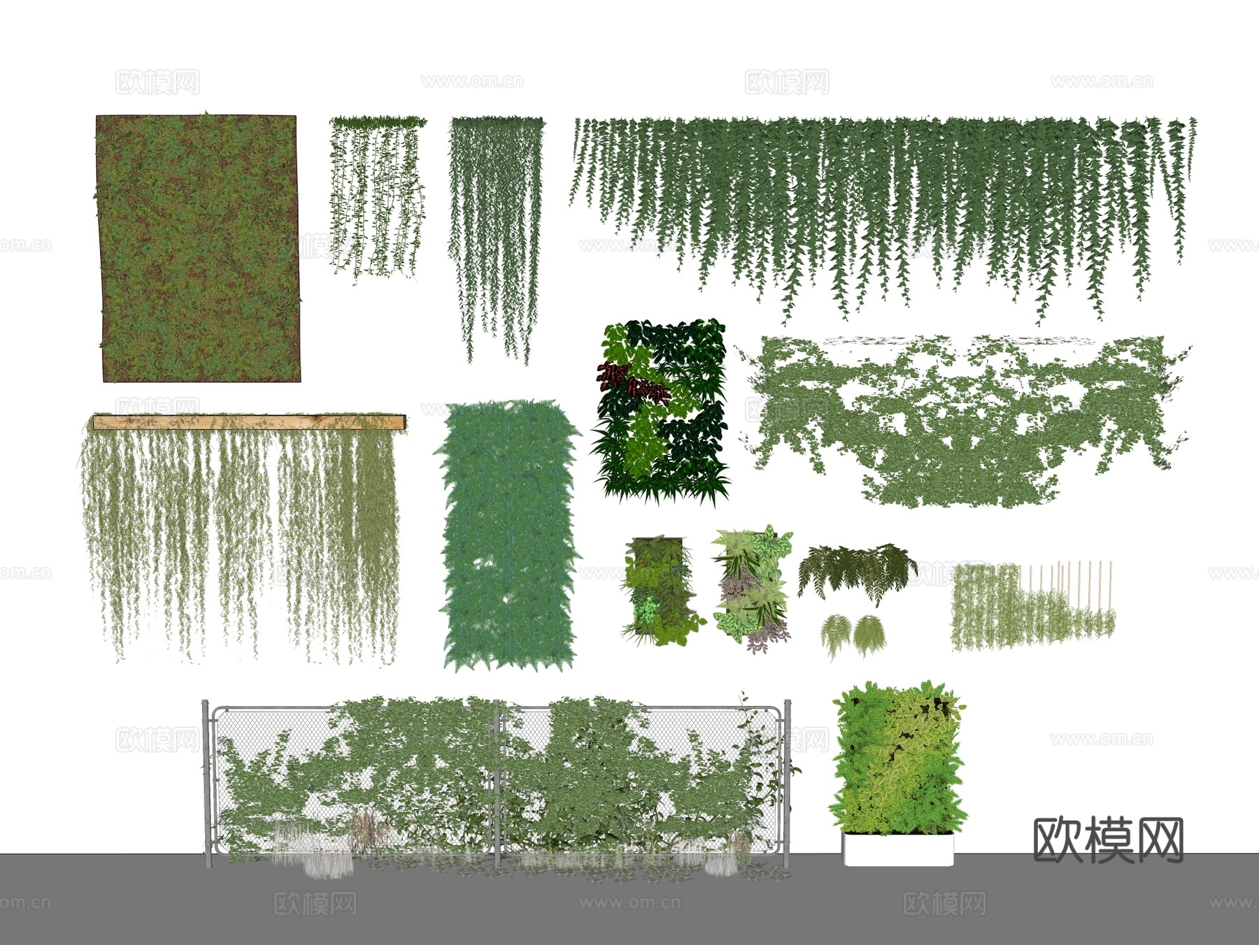 绿植墙 植生墙 藤曼su模型