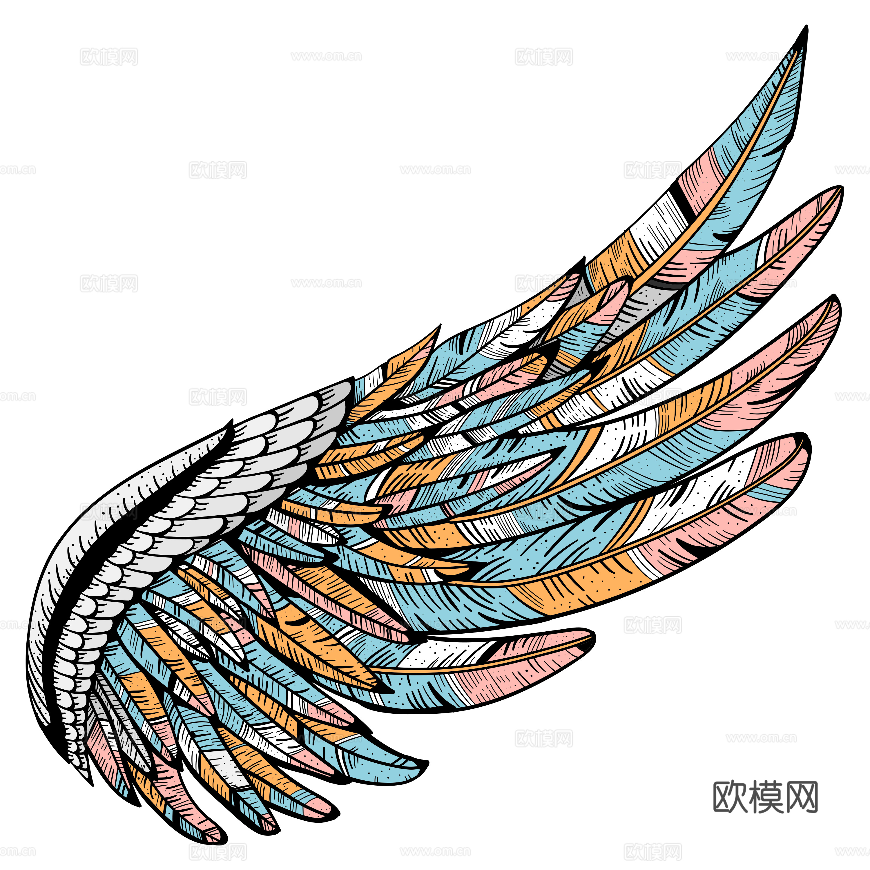 免抠翅膀手绘 线描图 彩绘图
