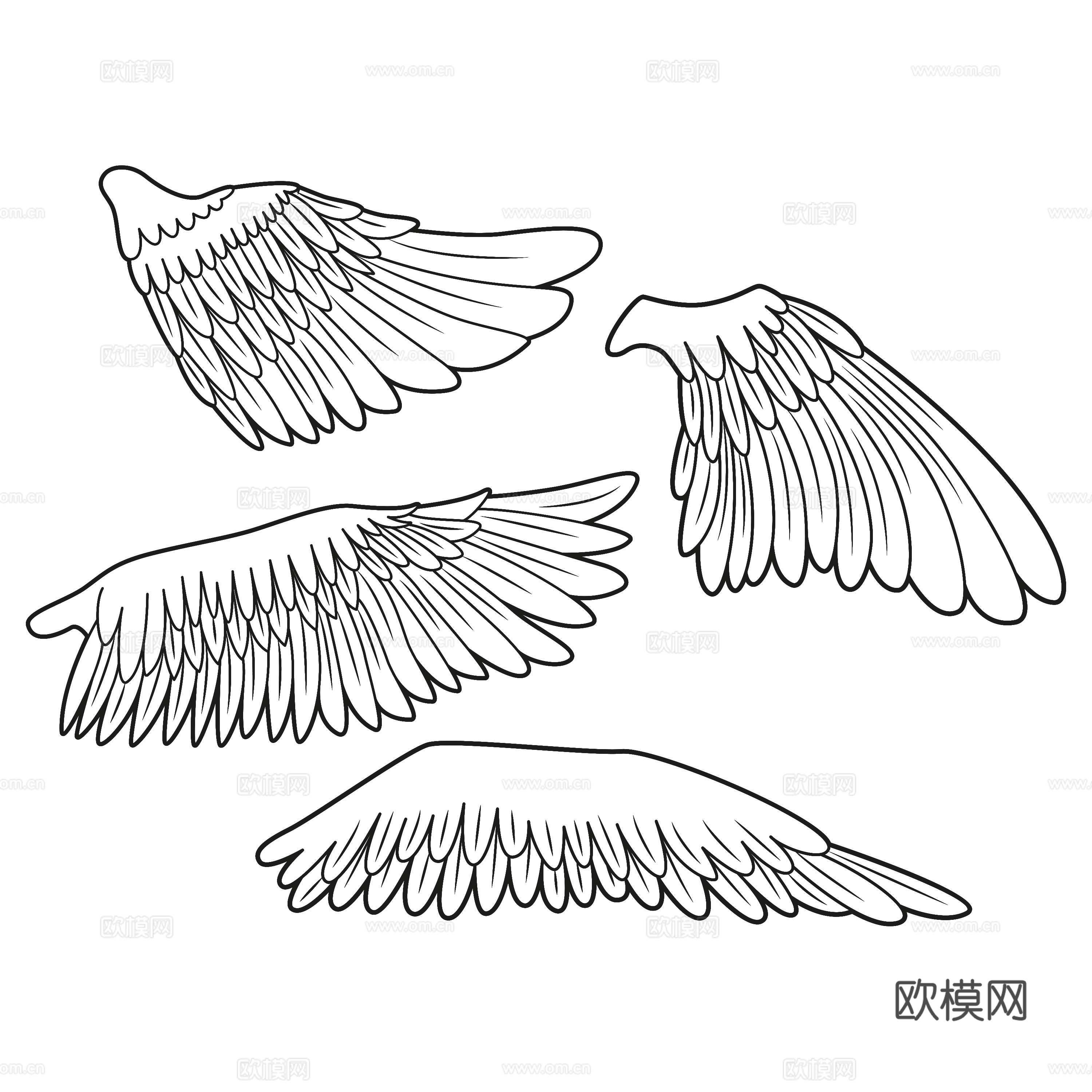免抠翅膀手绘 线描图