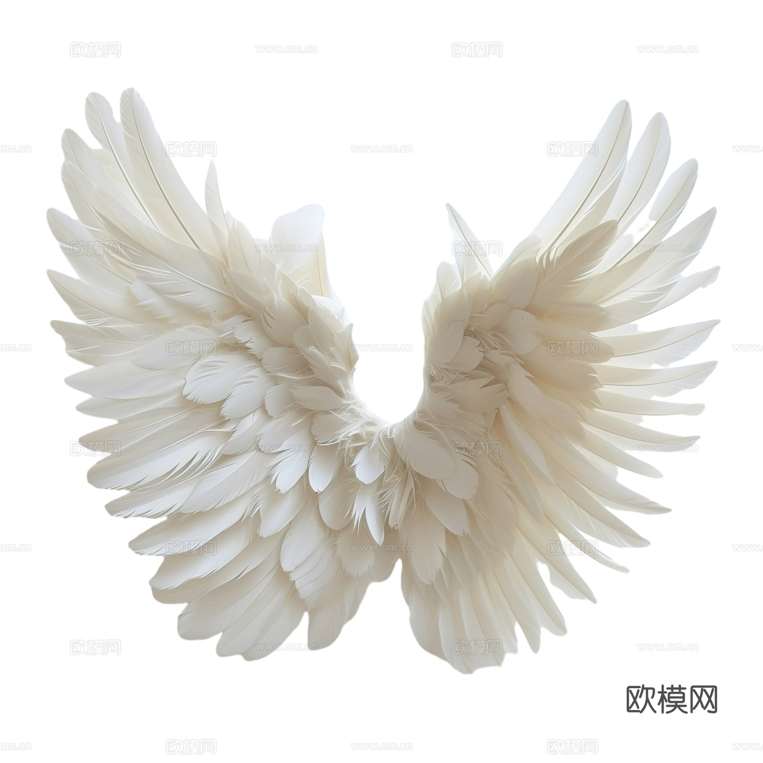 免抠白色翅膀 天使翅膀 展开 羽翼