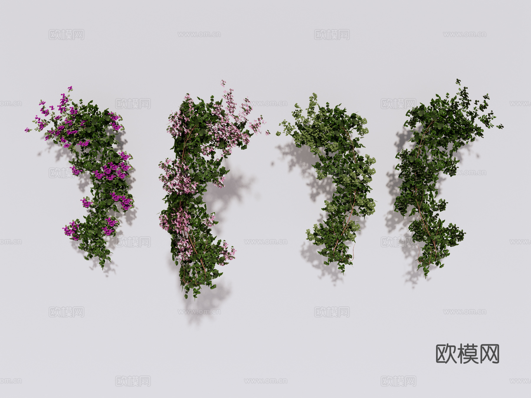 绿植墙 植生墙 藤曼 花藤su模型