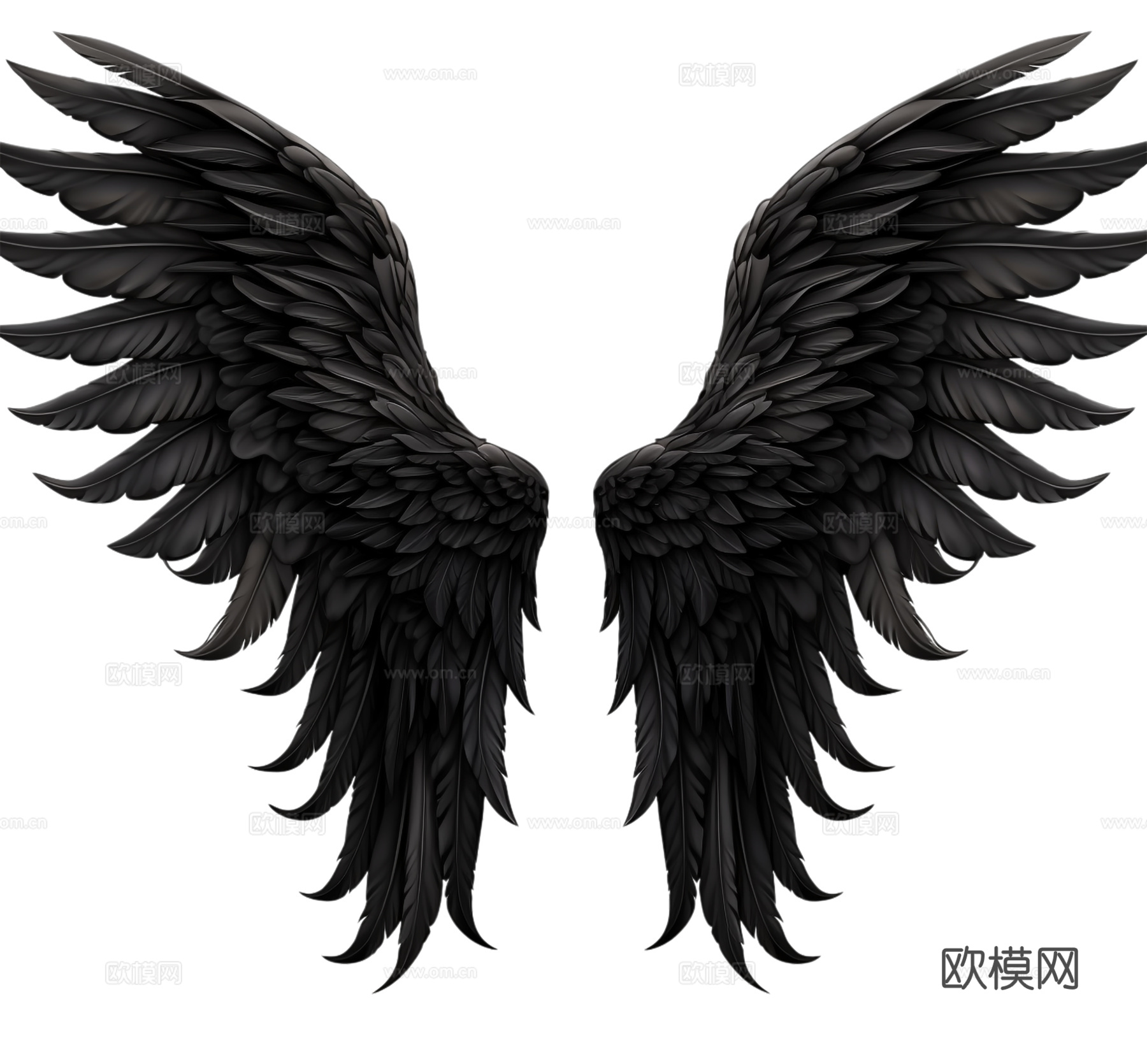 免抠黑色翅膀 天使翅膀 展开 羽翼
