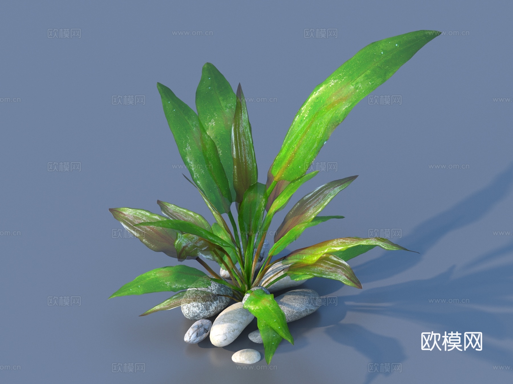 石头 水草 鹅卵石 蔬菜 菜叶 树叶 食物3d模型