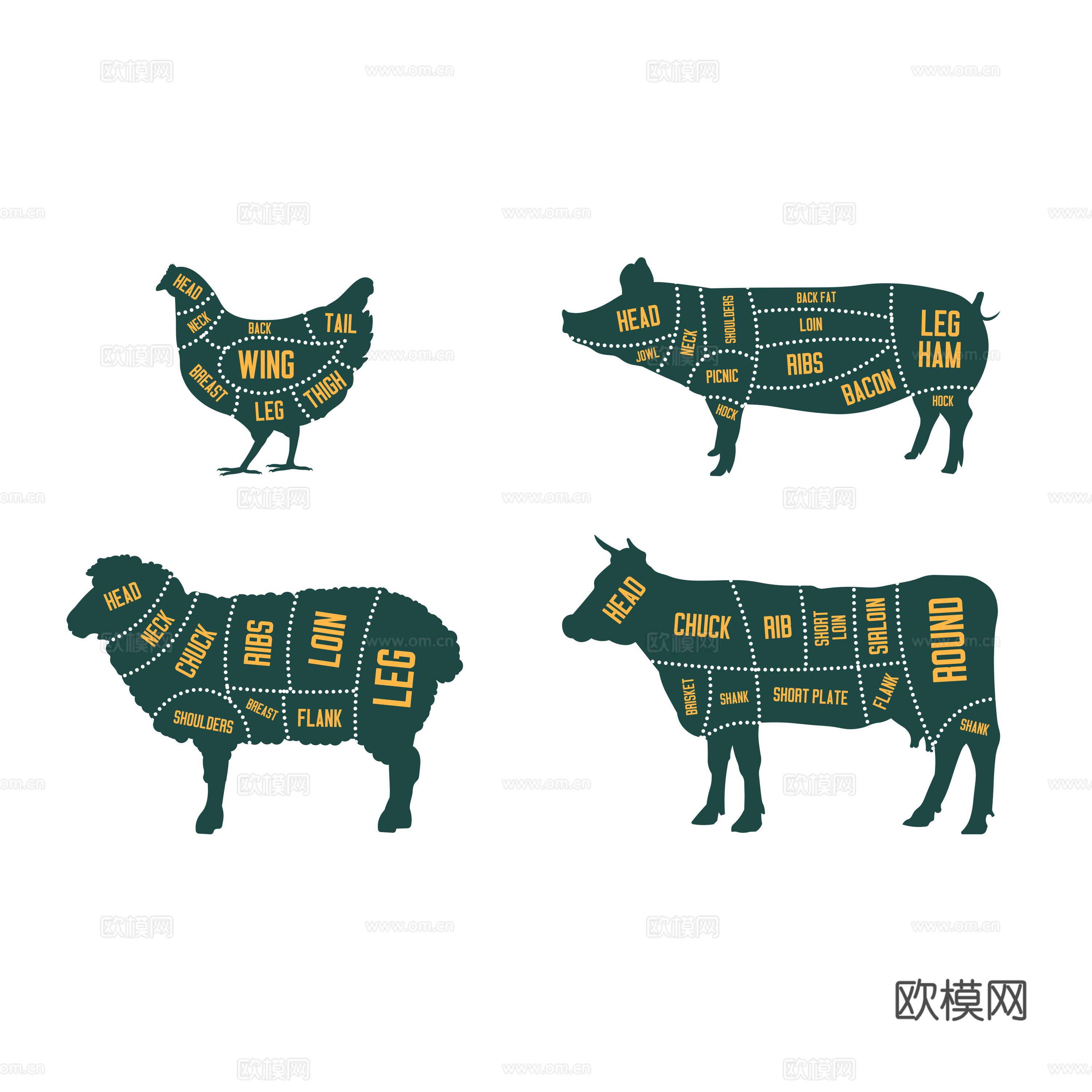 免抠牛羊 鸡猪部位肉分布