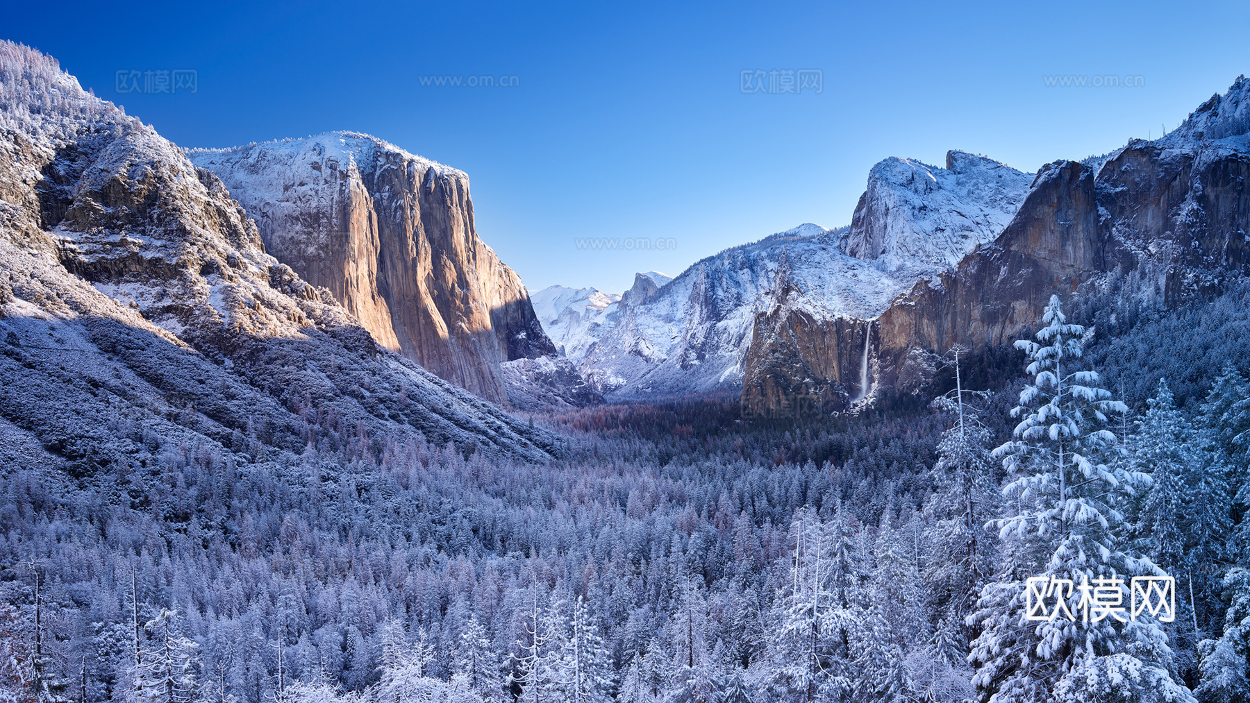 冬天雪景风景