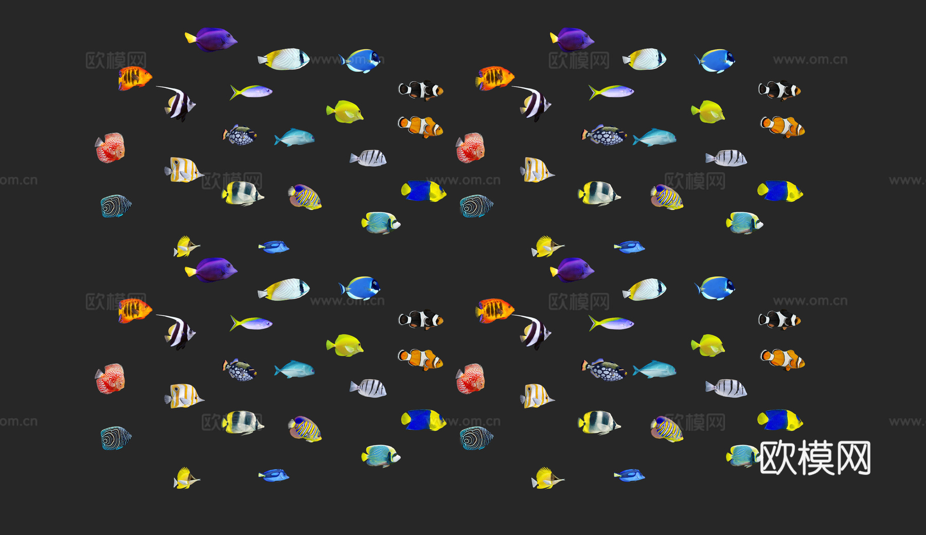 现代水生动物 海鱼带鱼 海洋鱼类 海洋生物金枪鱼旗鱼神仙鱼海su模型