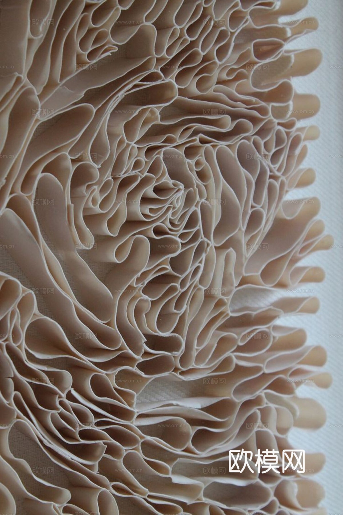 艺术肌理图案下载