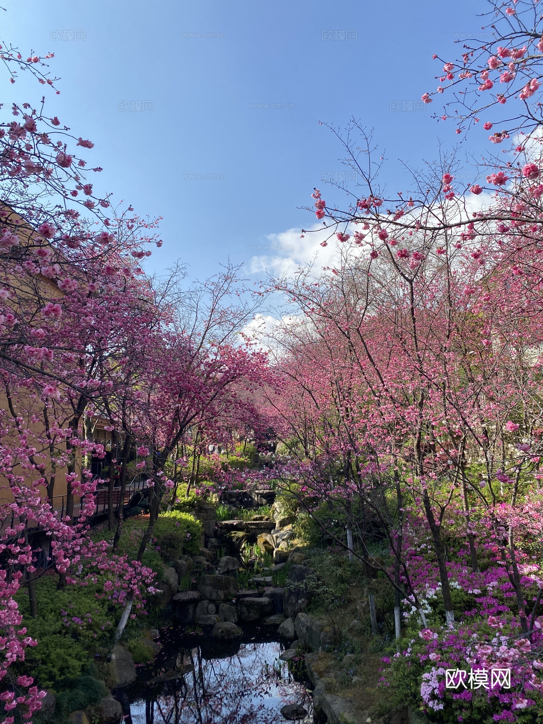 现代小区园景贴图
