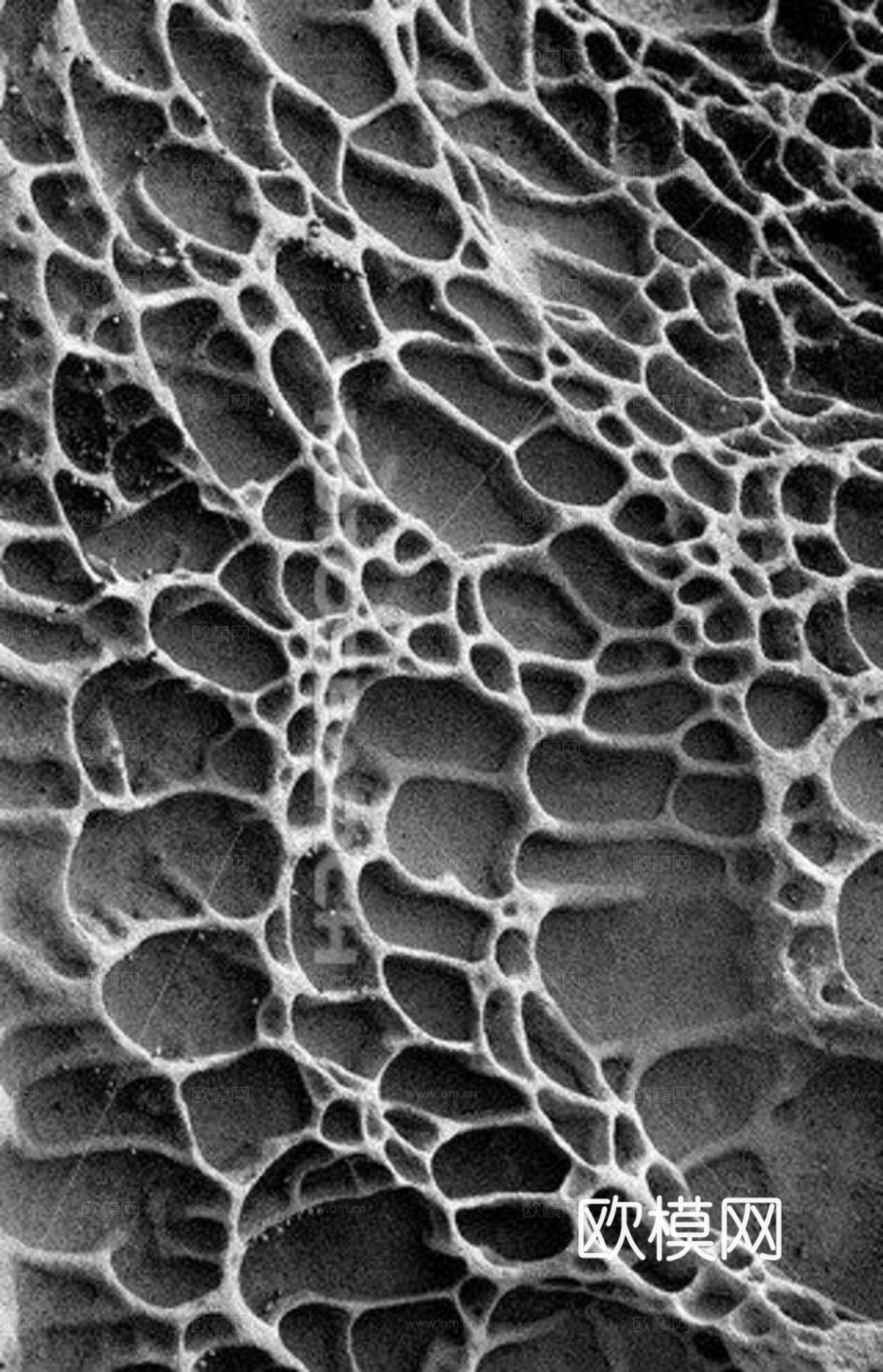 艺术肌理图案下载