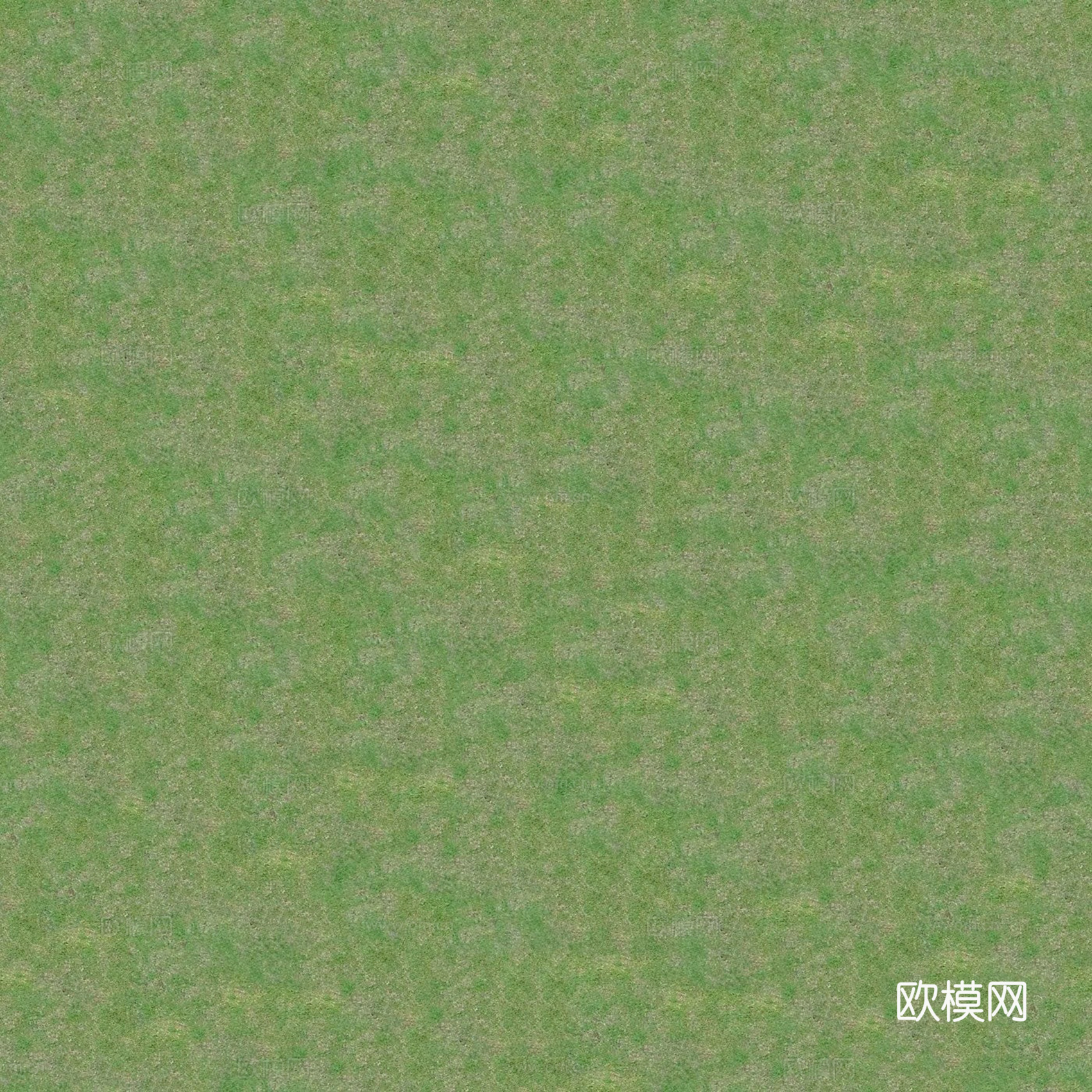 无缝绿色草地