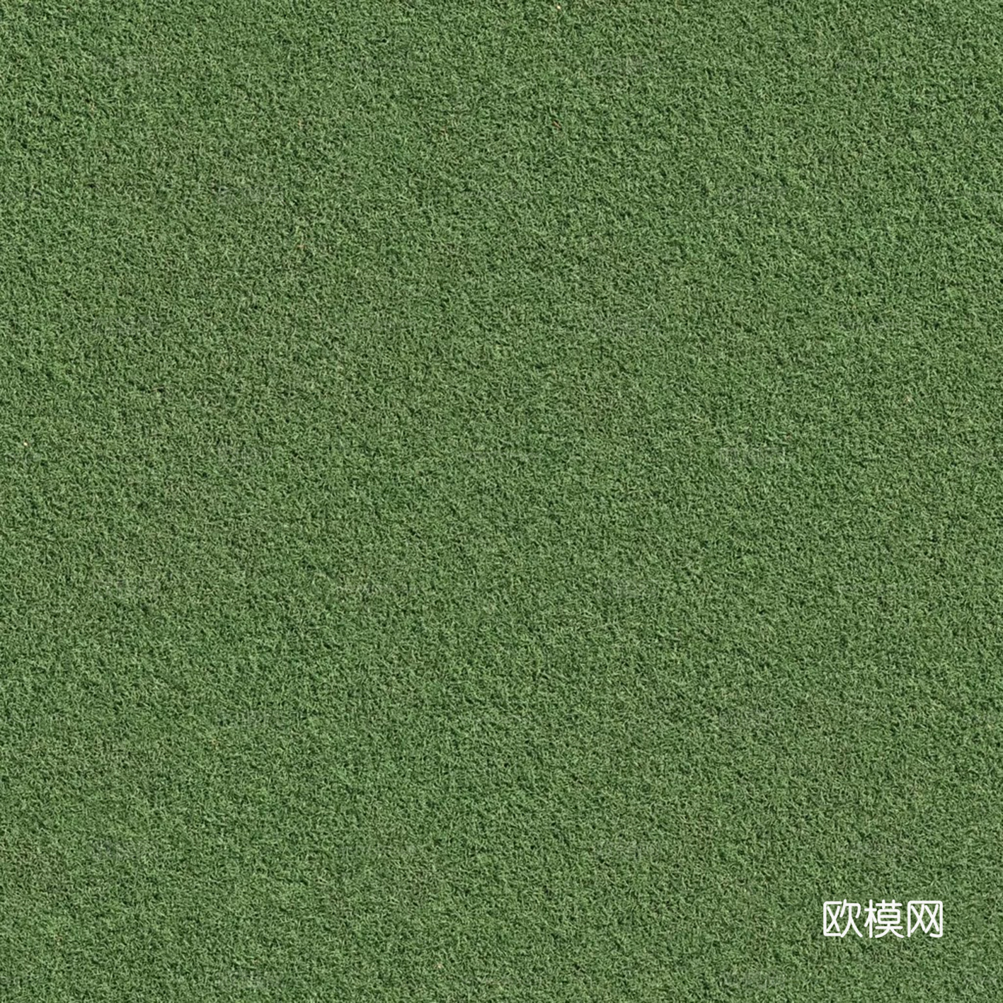 无缝绿色草地