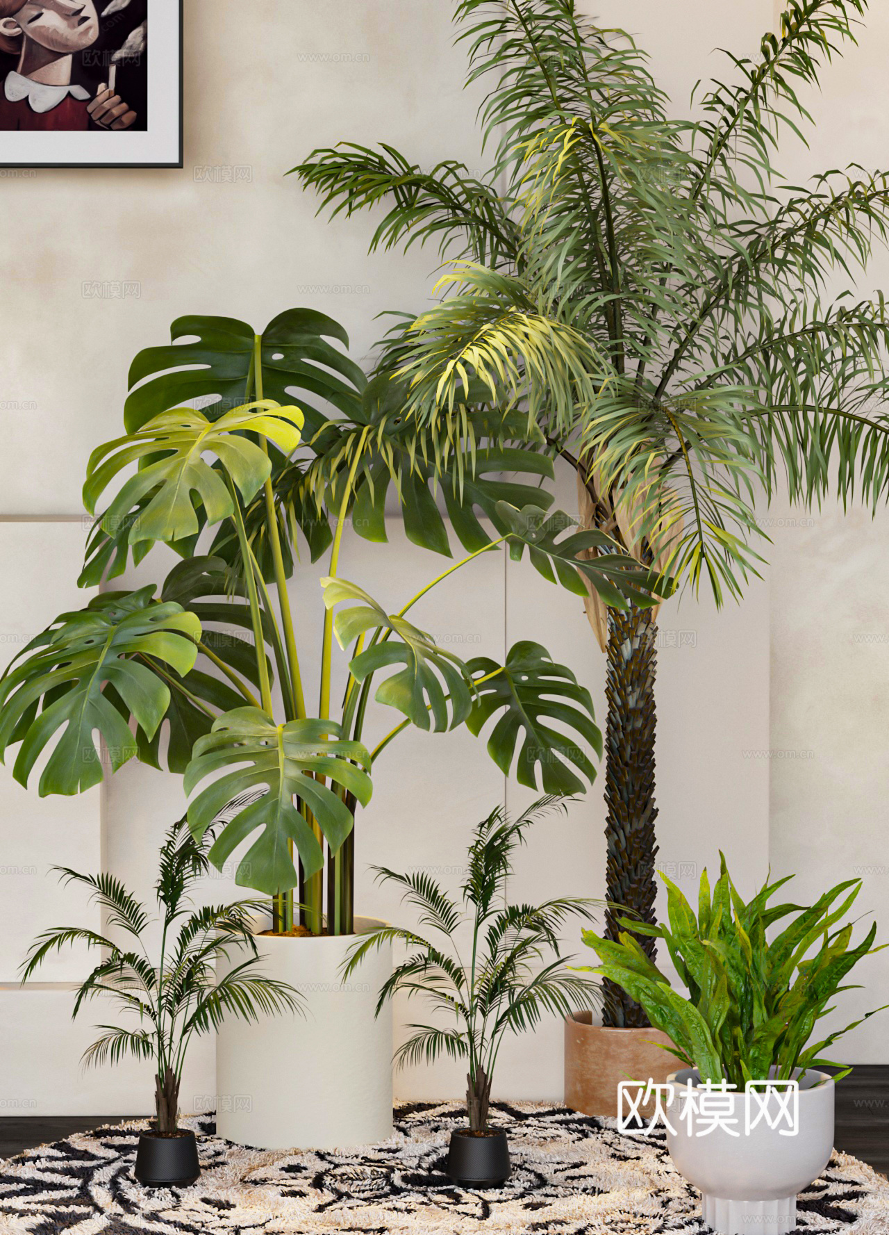 绿植 盆栽 植物3d模型