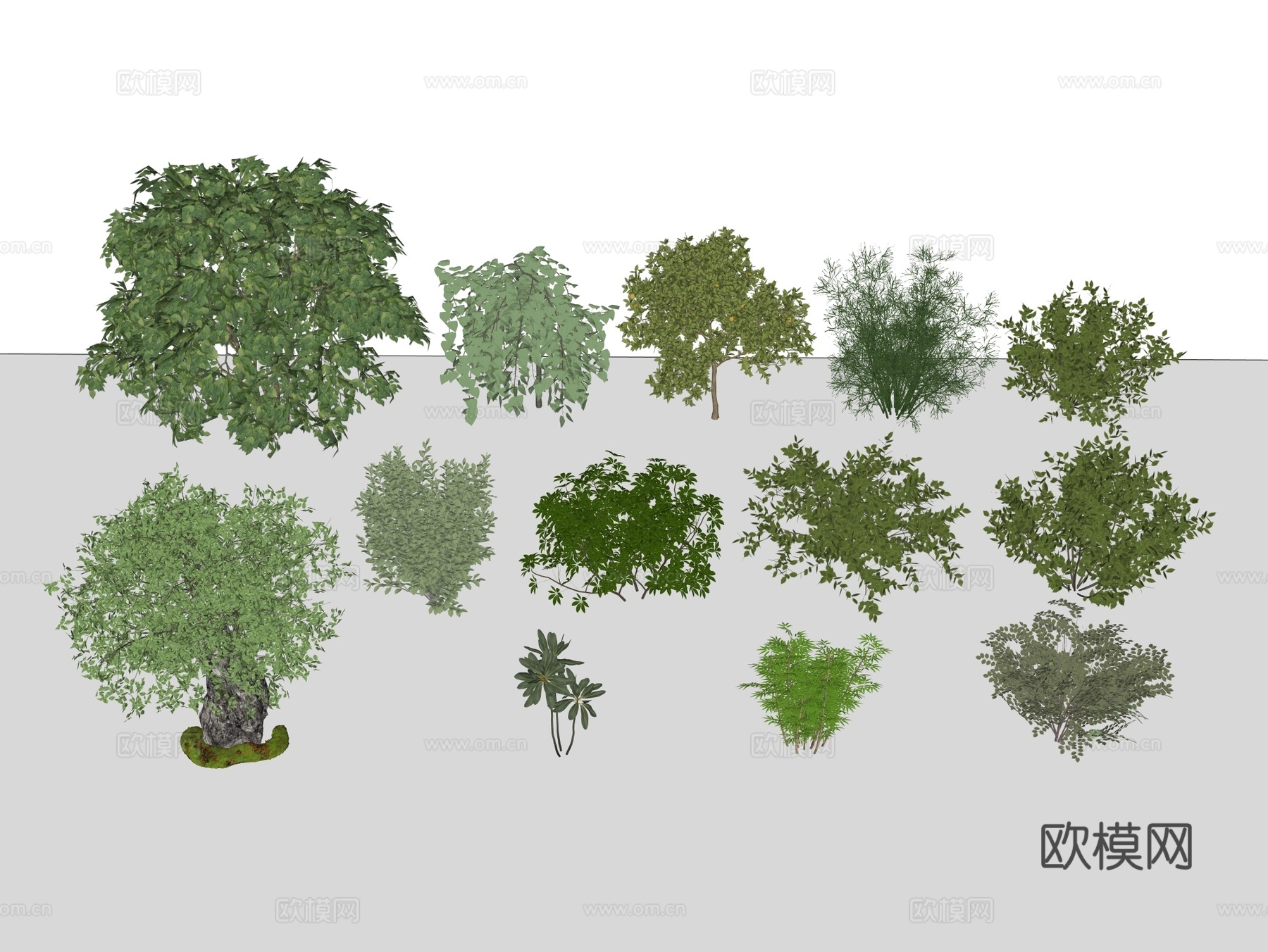 植物 绿植 植物组合 绿植组合su模型