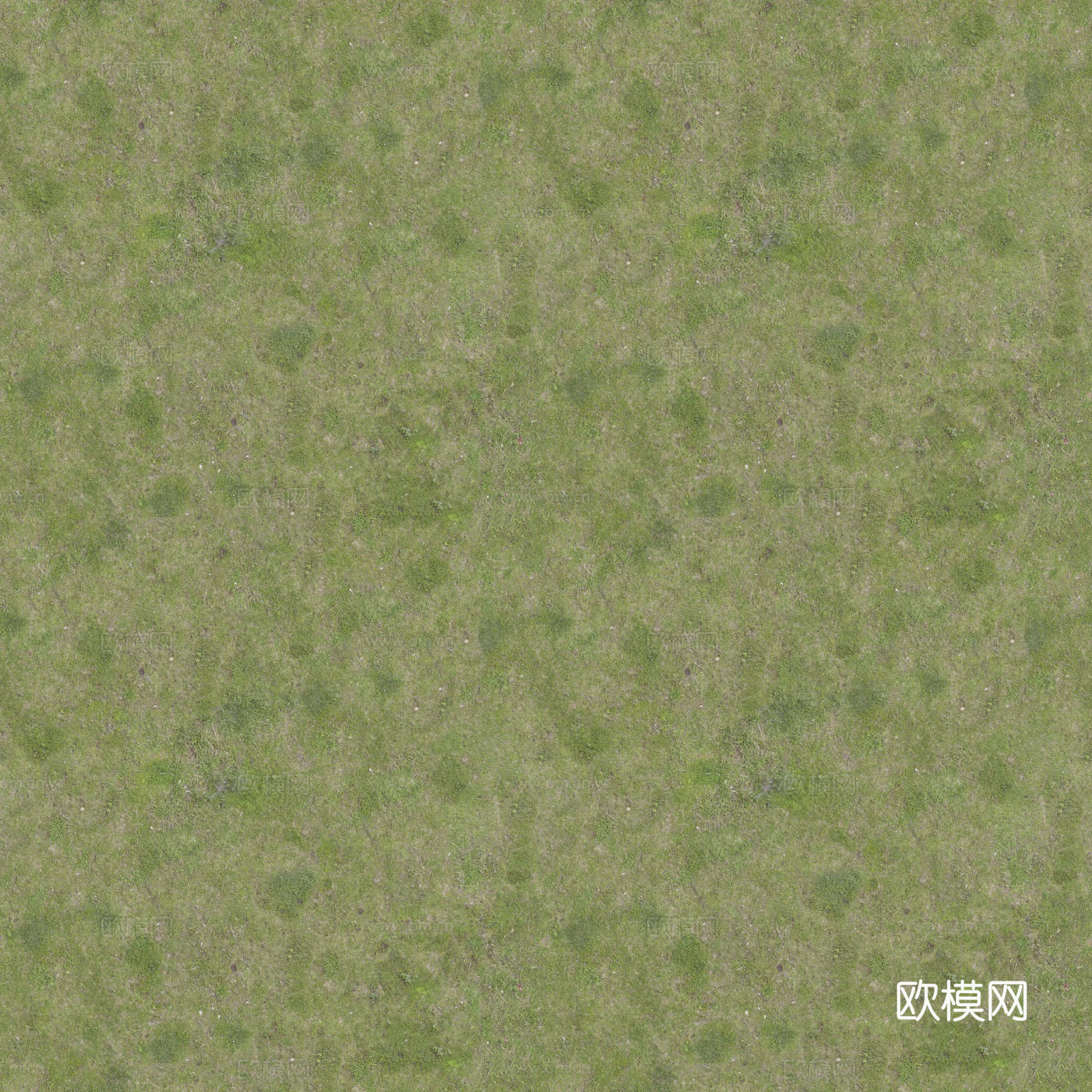 无缝绿色草地