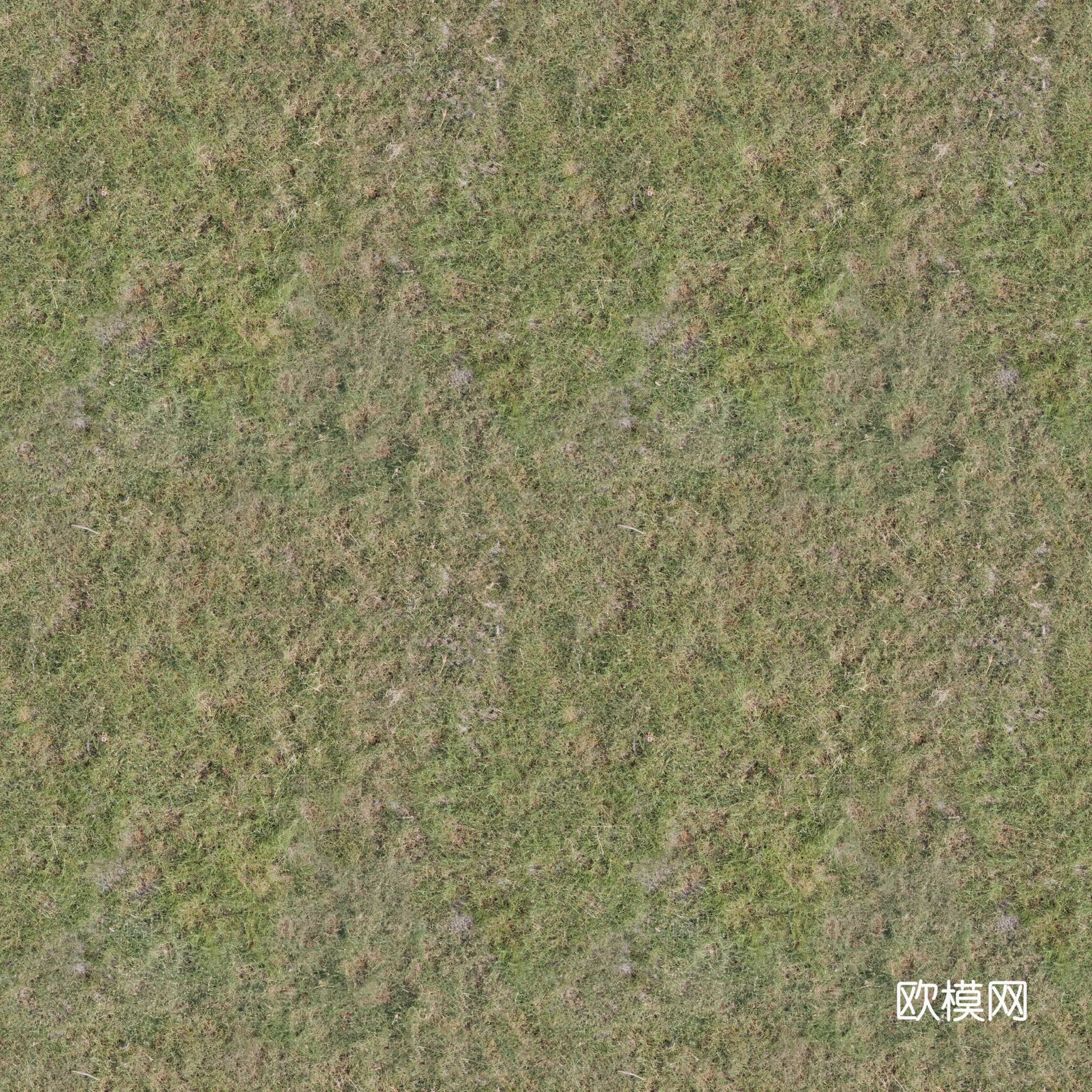无缝绿色草地