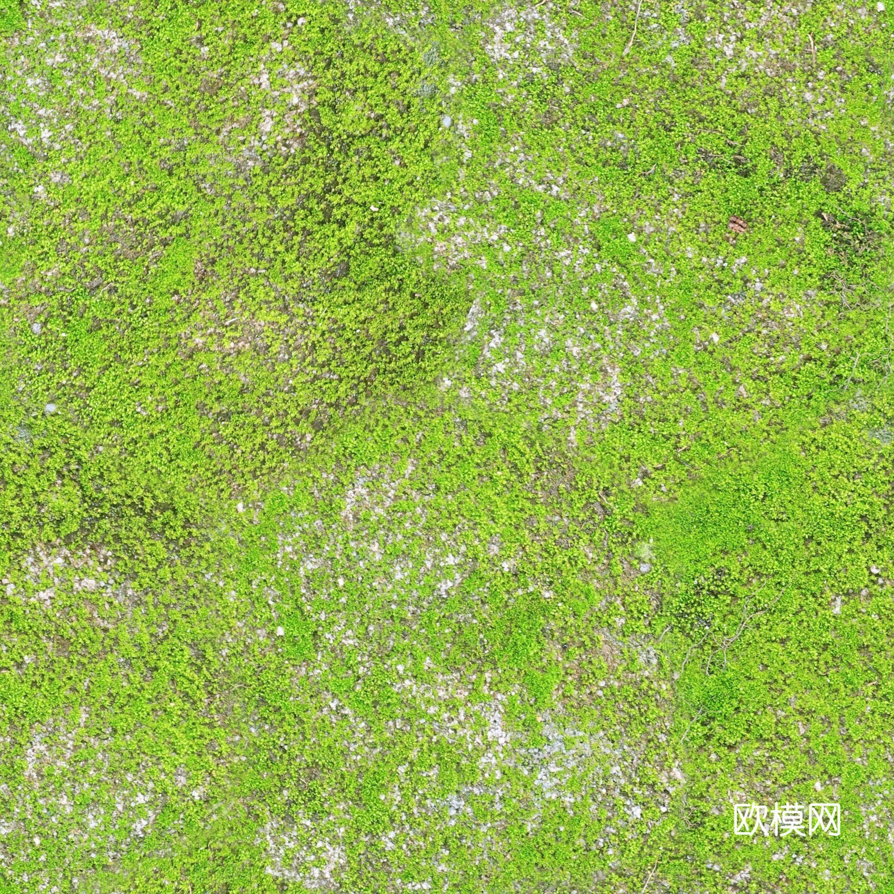 草地 草坪 地面下载