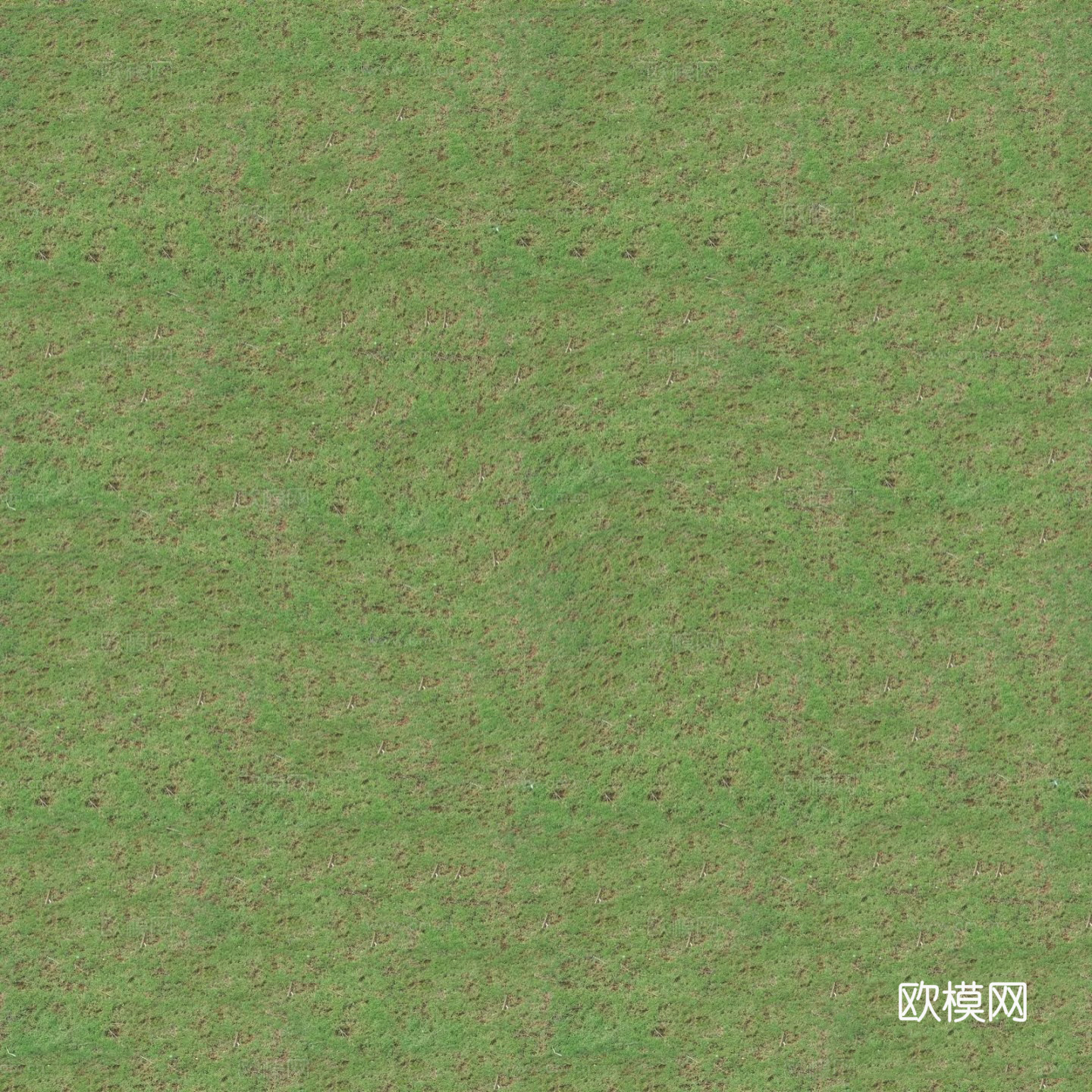 无缝绿色草地