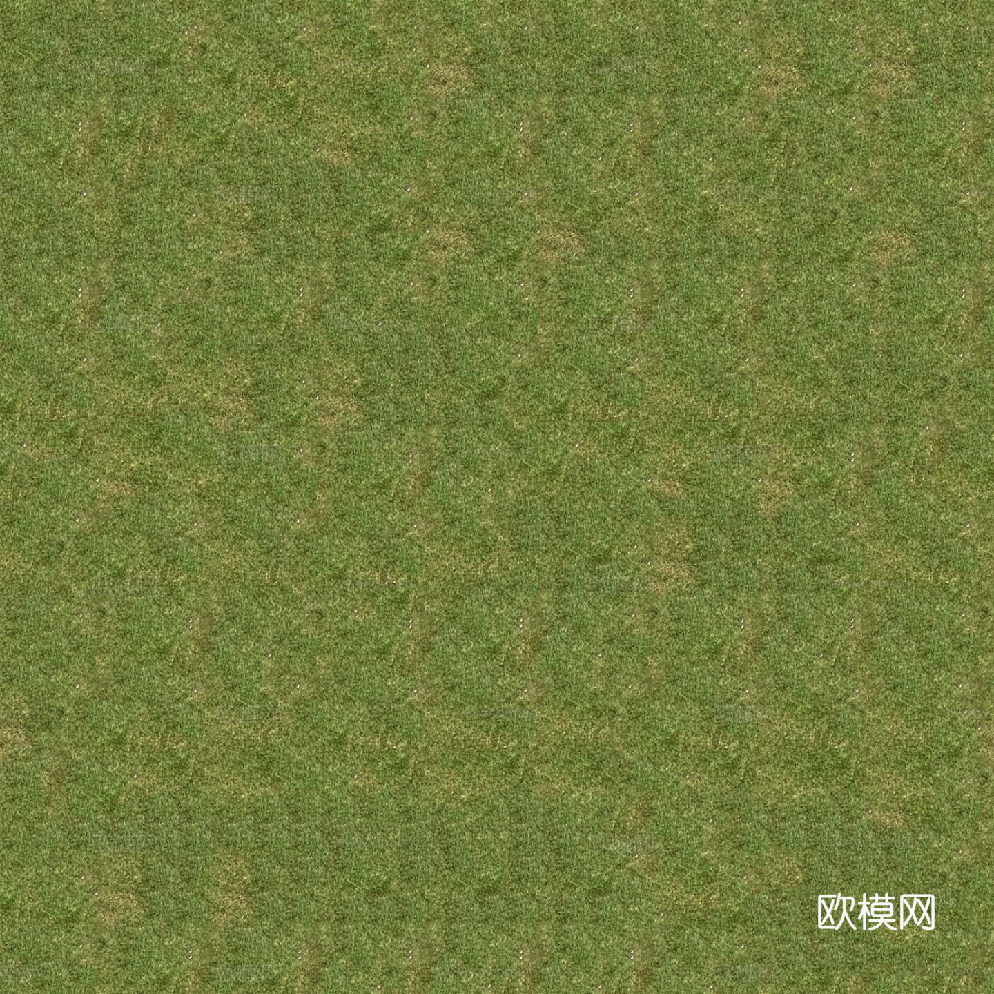 无缝绿色草地
