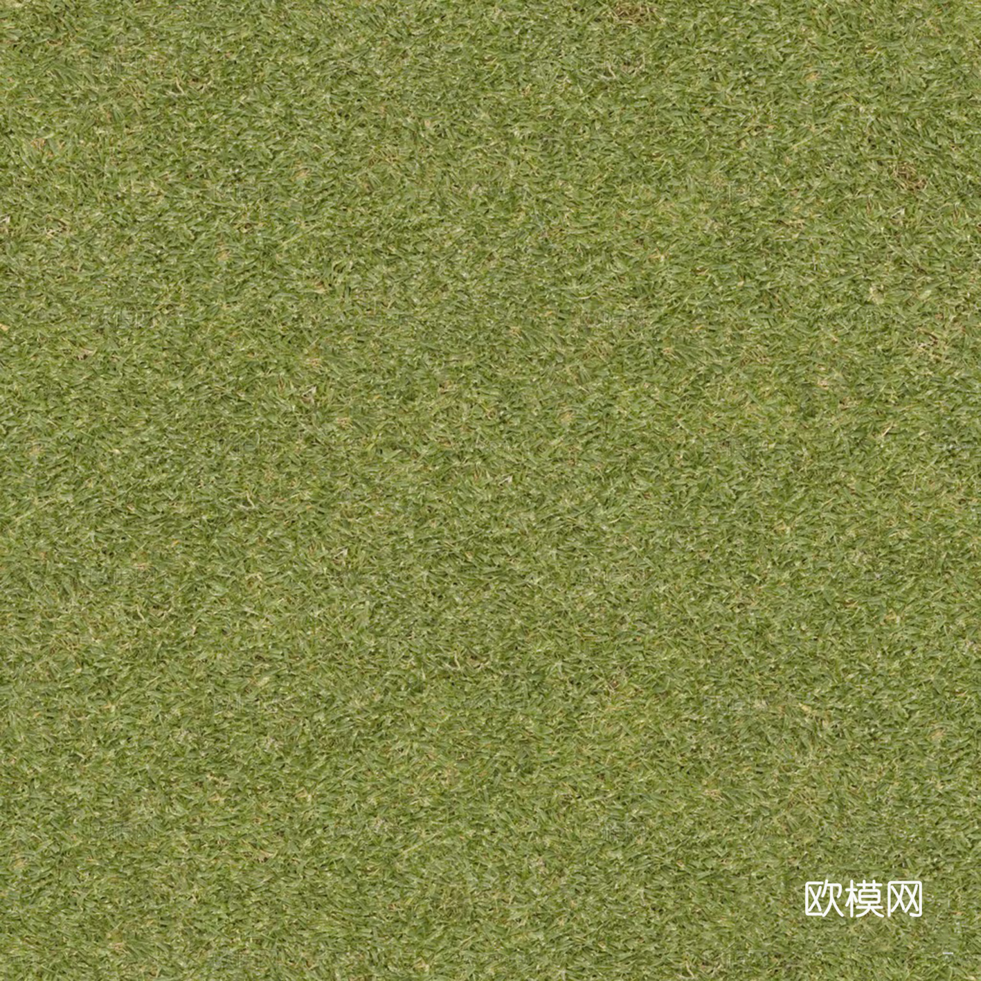 无缝绿色草地