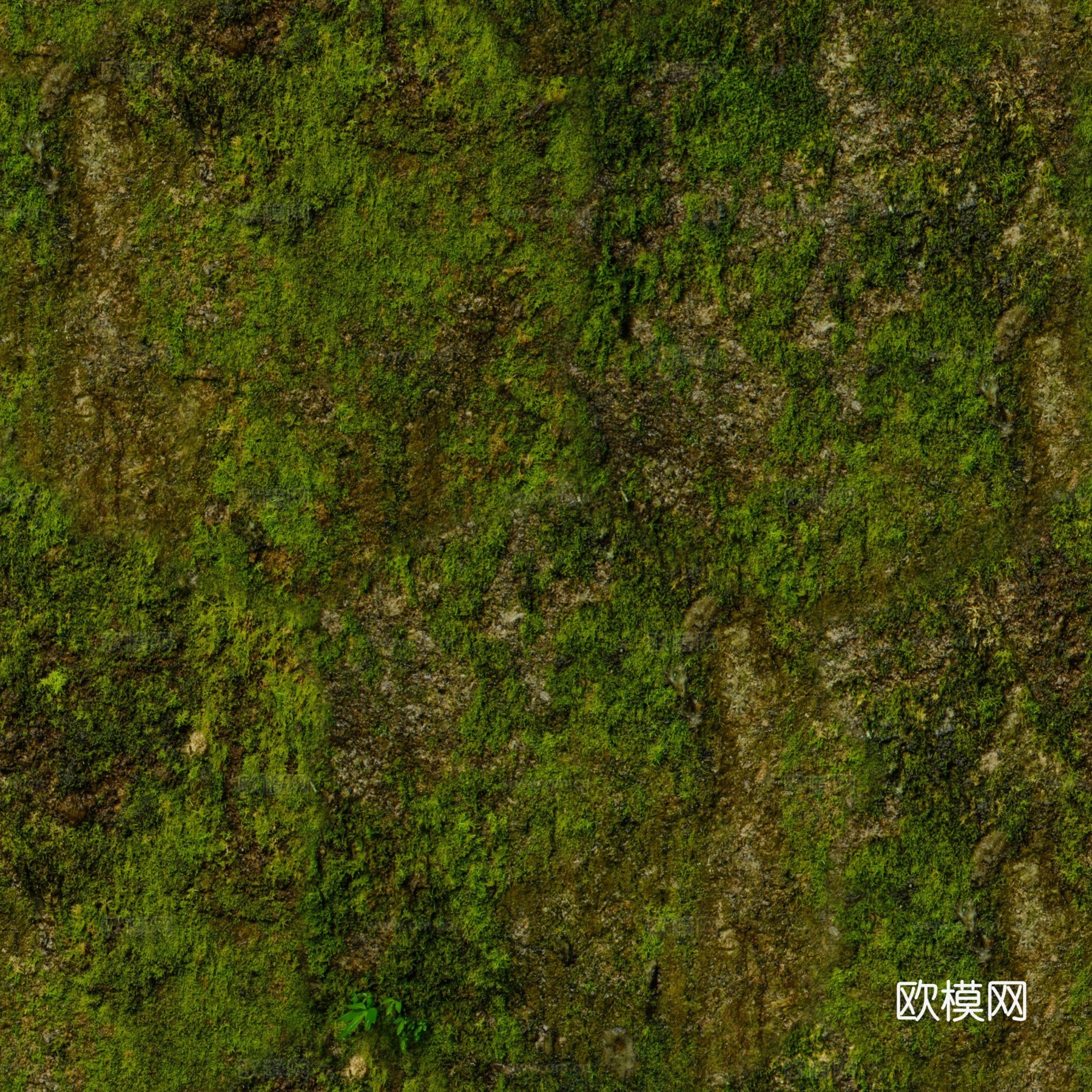 草地 草坪 地面下载