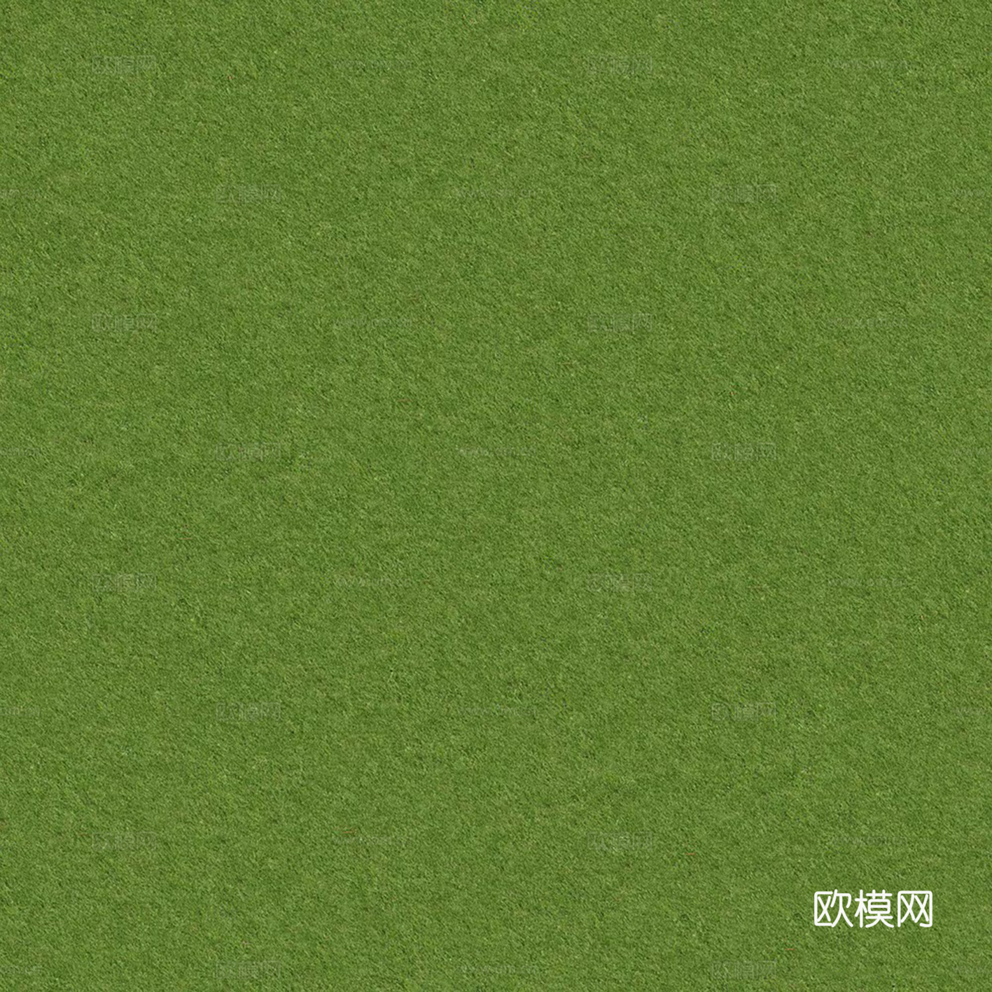 无缝绿色草地