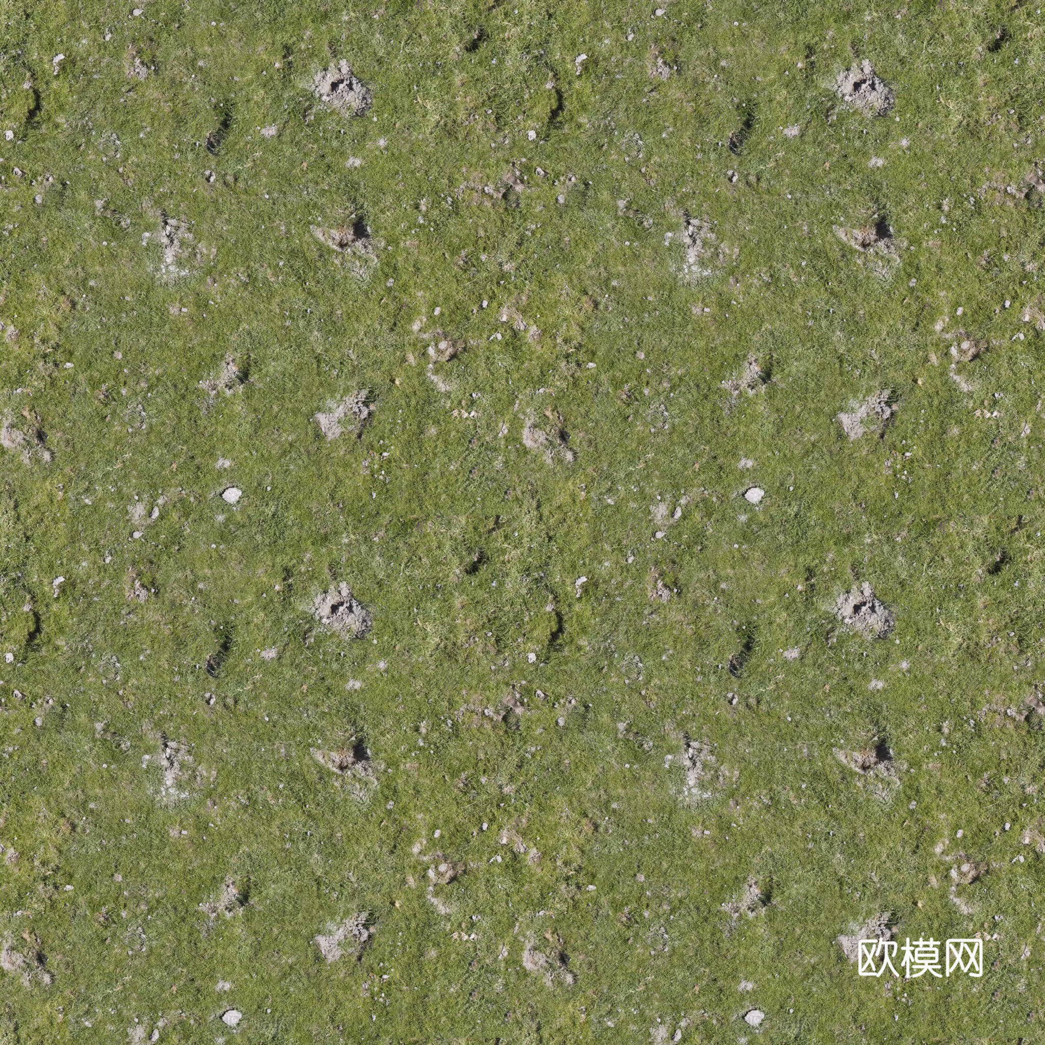 无缝绿色草地