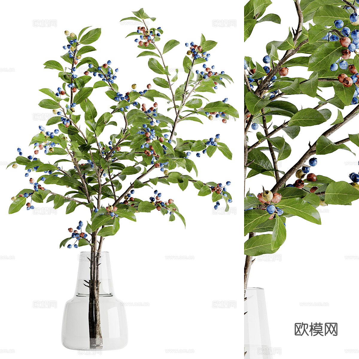 现代蓝莓花束 花瓶花艺3d模型