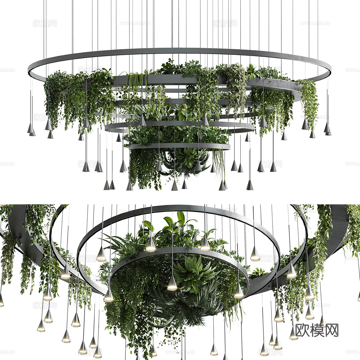 现代 盆灯吊灯 植物吊灯3d模型