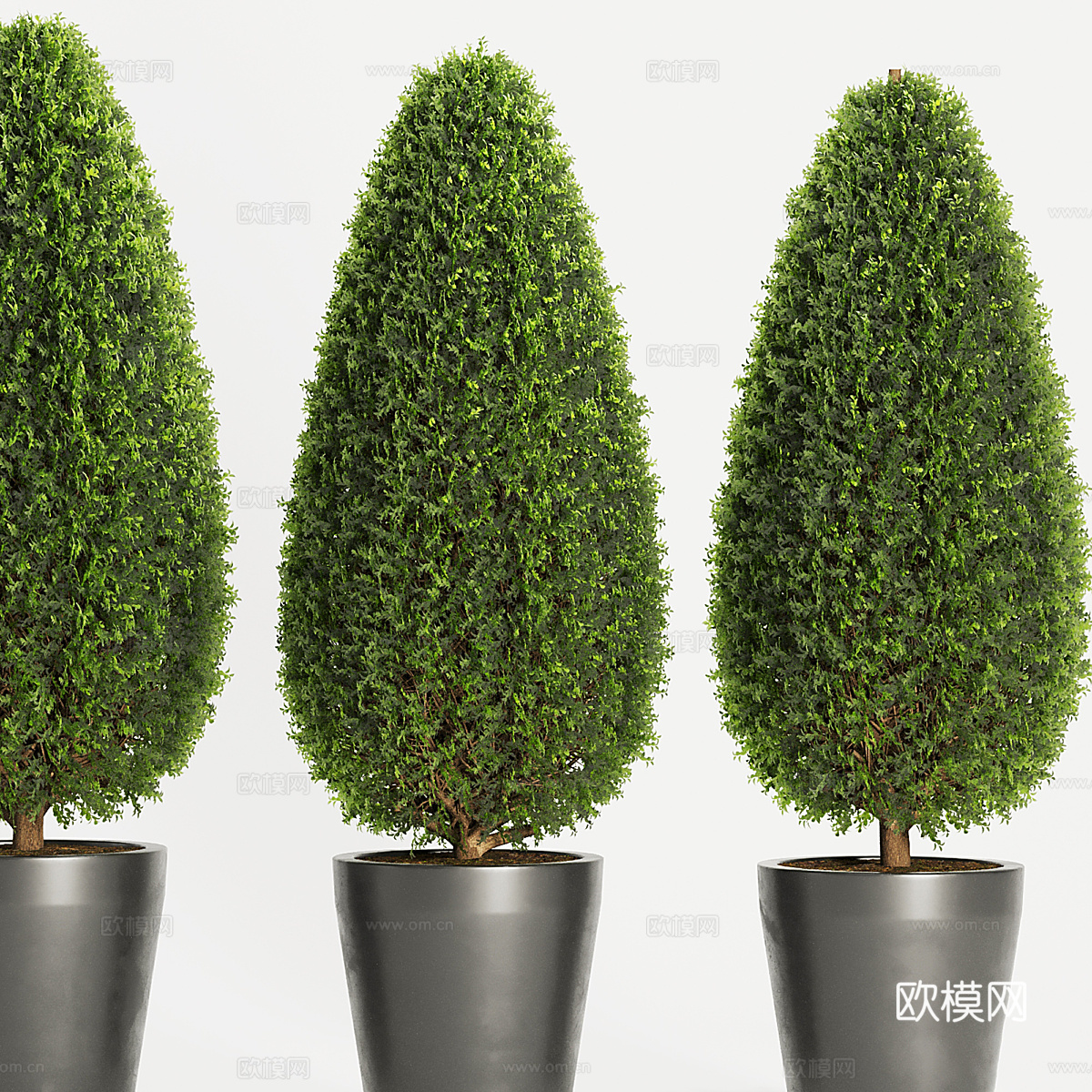 现代绿植盆栽3d模型