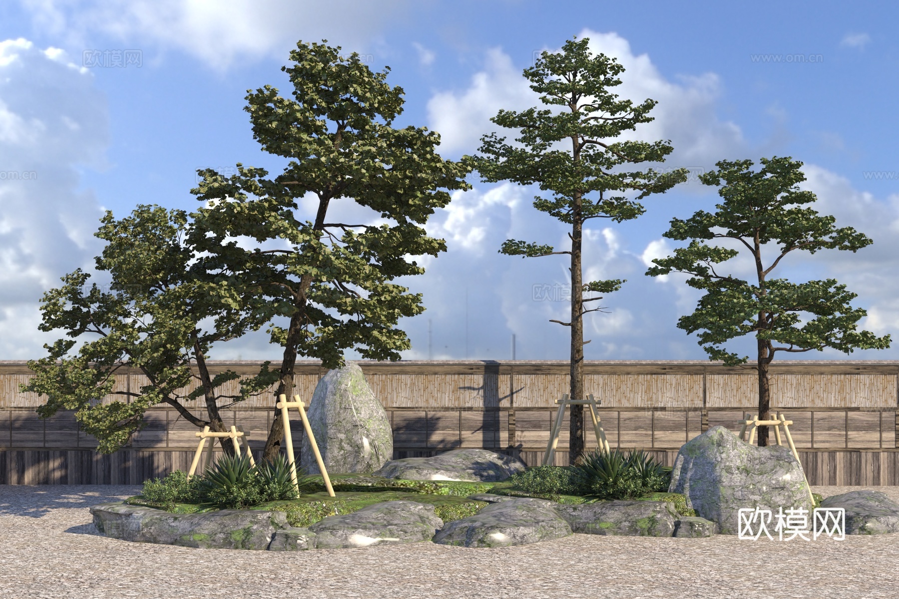 现代松树 黑松3d模型