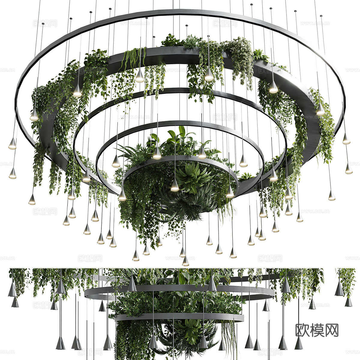 现代 盆灯吊灯 植物吊灯3d模型