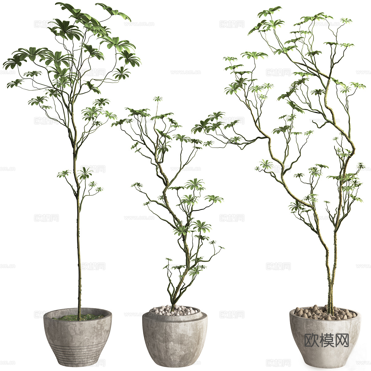 花瓶花卉3d模型
