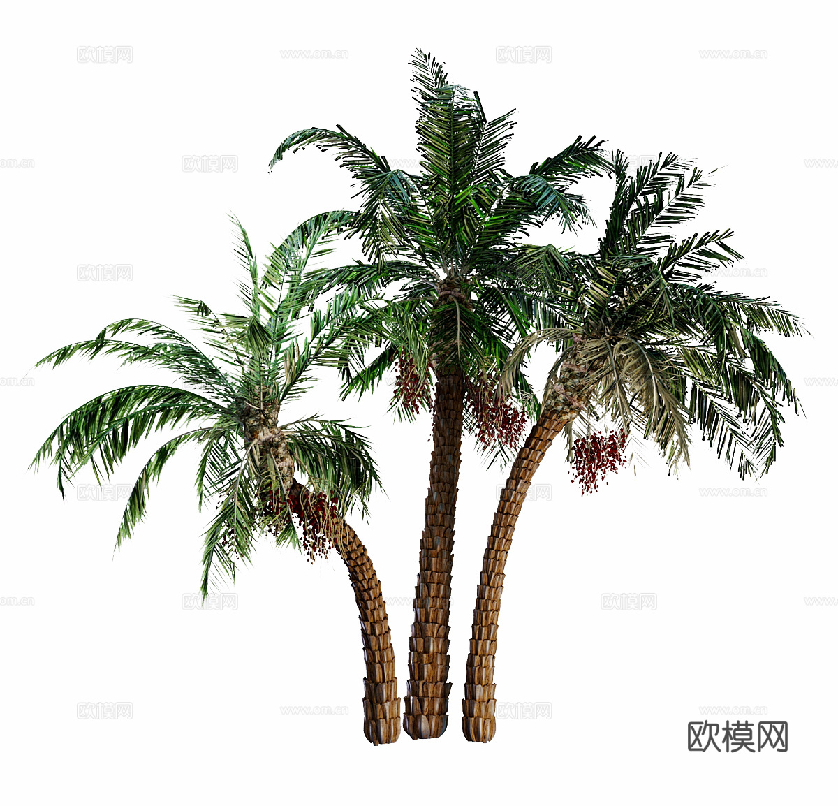 户外景观树 椰子树 棕榈树 热带树 热带绿植 海边绿植 沙滩3d模型