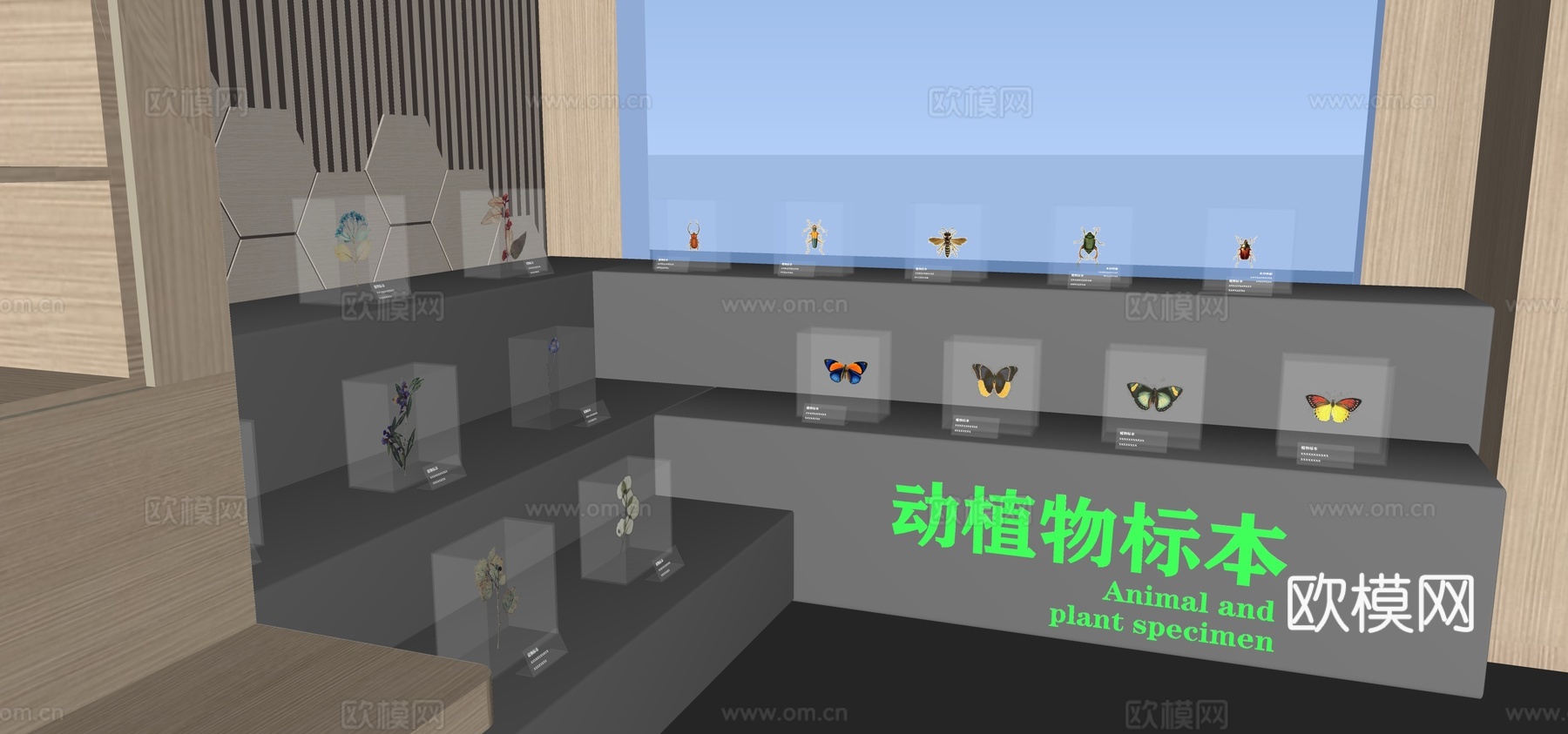 现代蝴蝶展馆展览su模型
