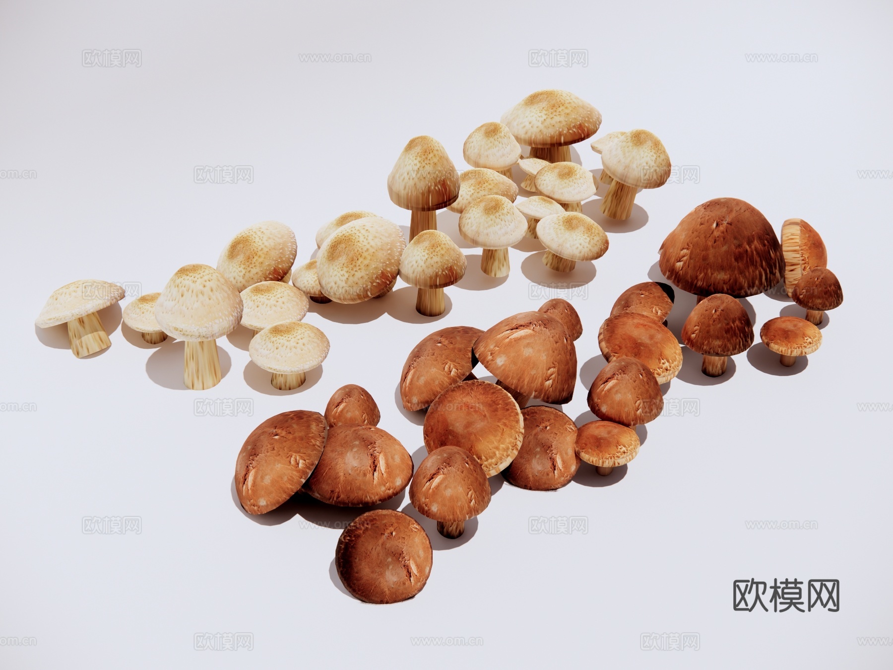 香菇菌菇 食物蔬菜su模型